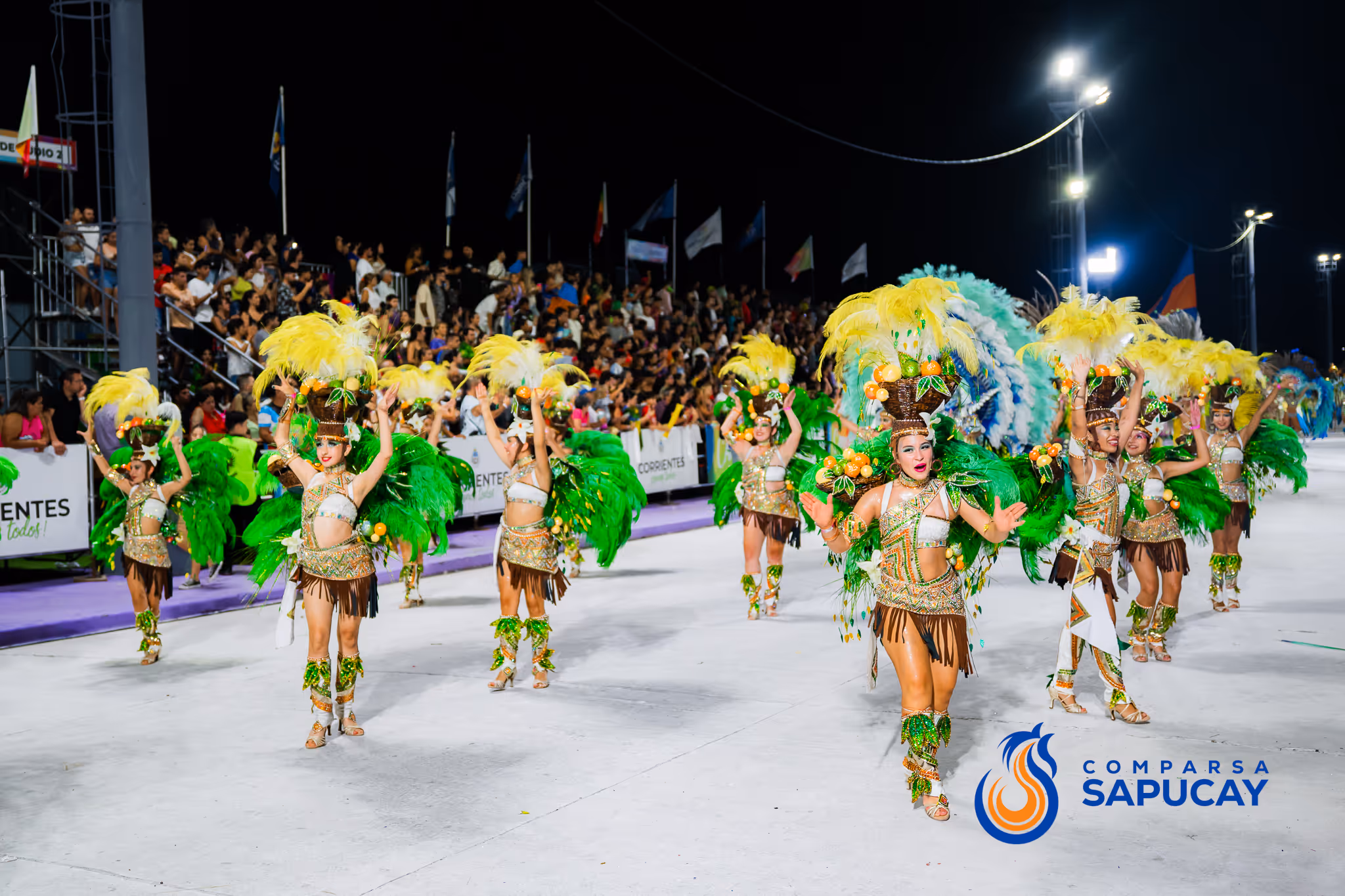 Galería de fotos del corso del Carnaval 2025