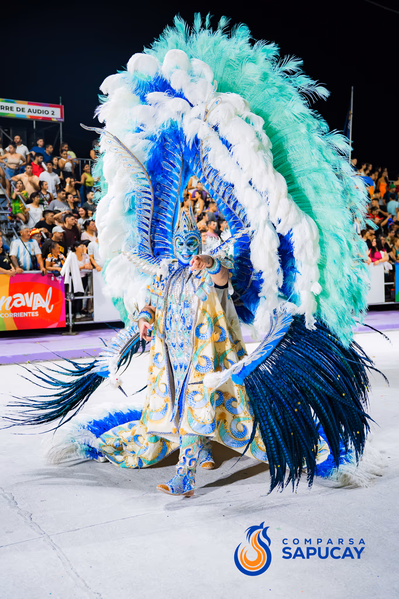 Galería de fotos del corso del Carnaval 2025