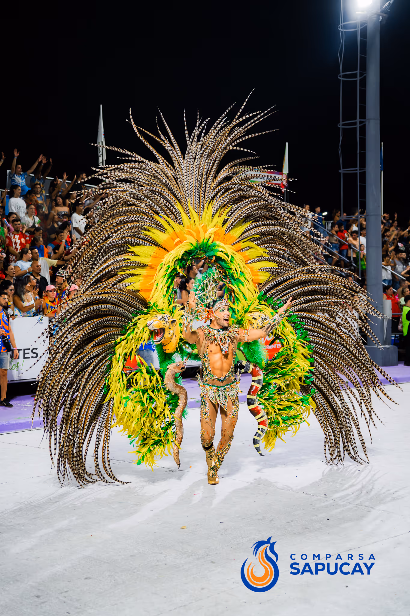 Galería de fotos del corso del Carnaval 2025