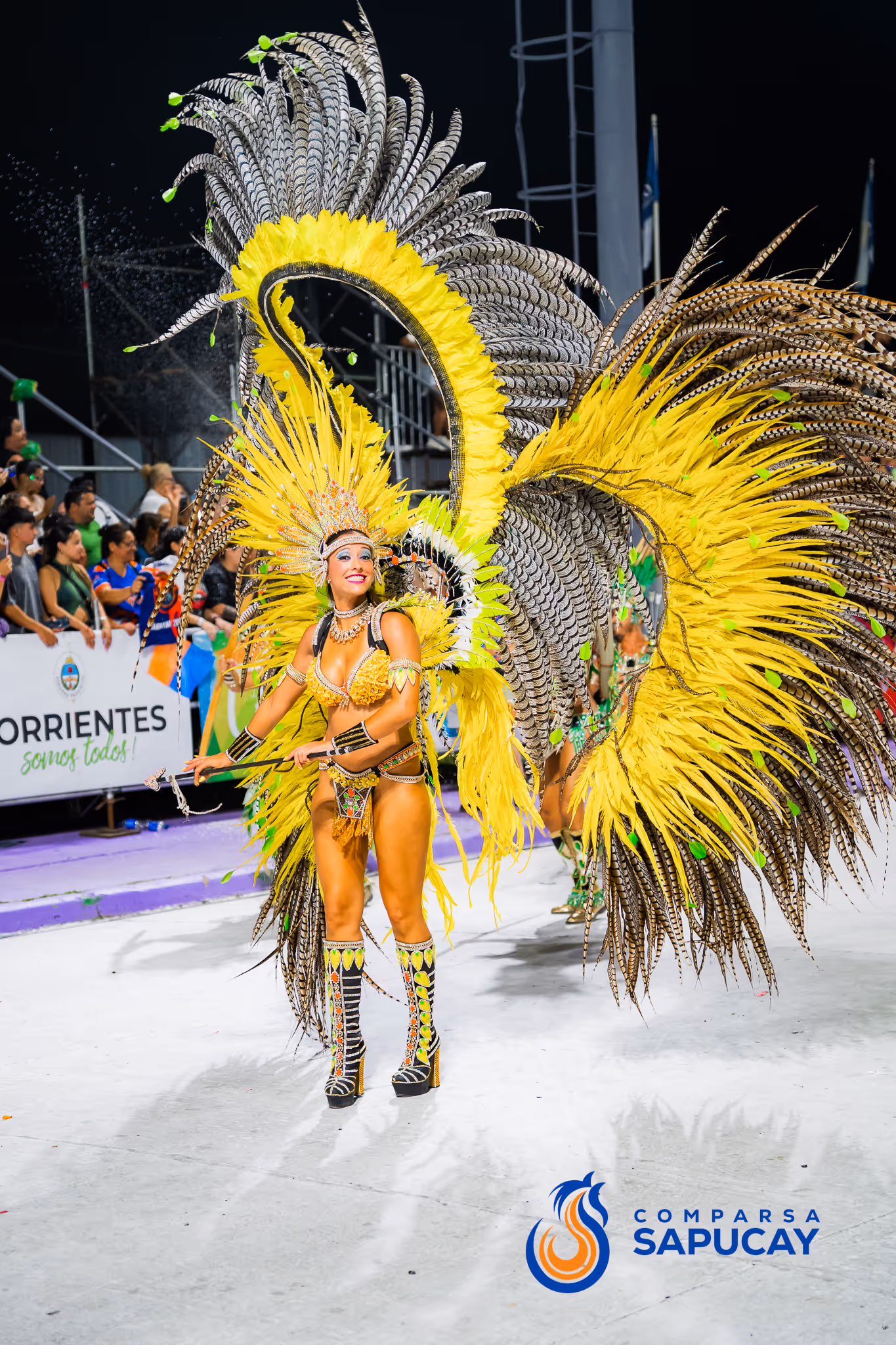 Galería de fotos del corso del Carnaval 2025