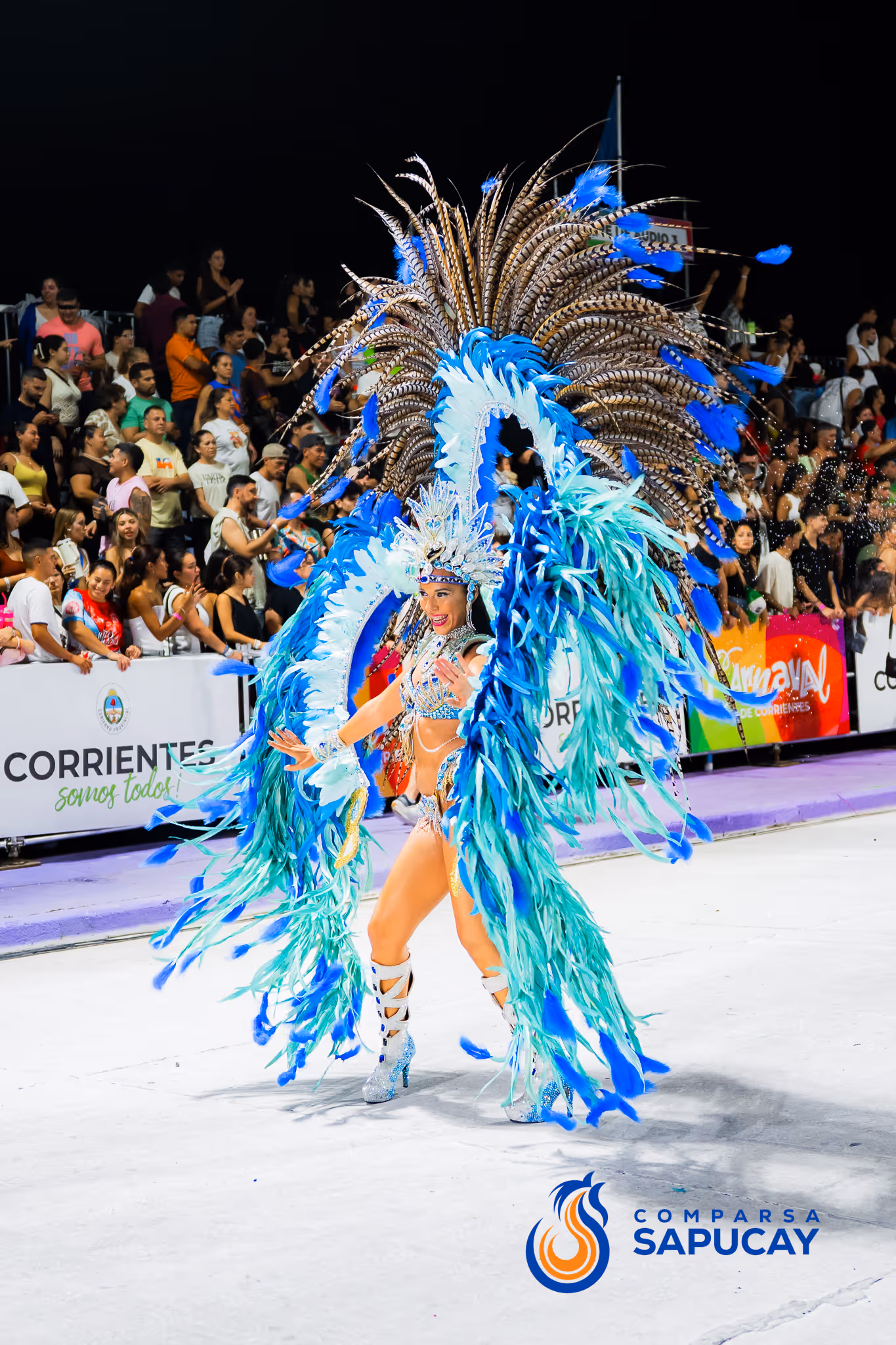 Galería de fotos del corso del Carnaval 2025