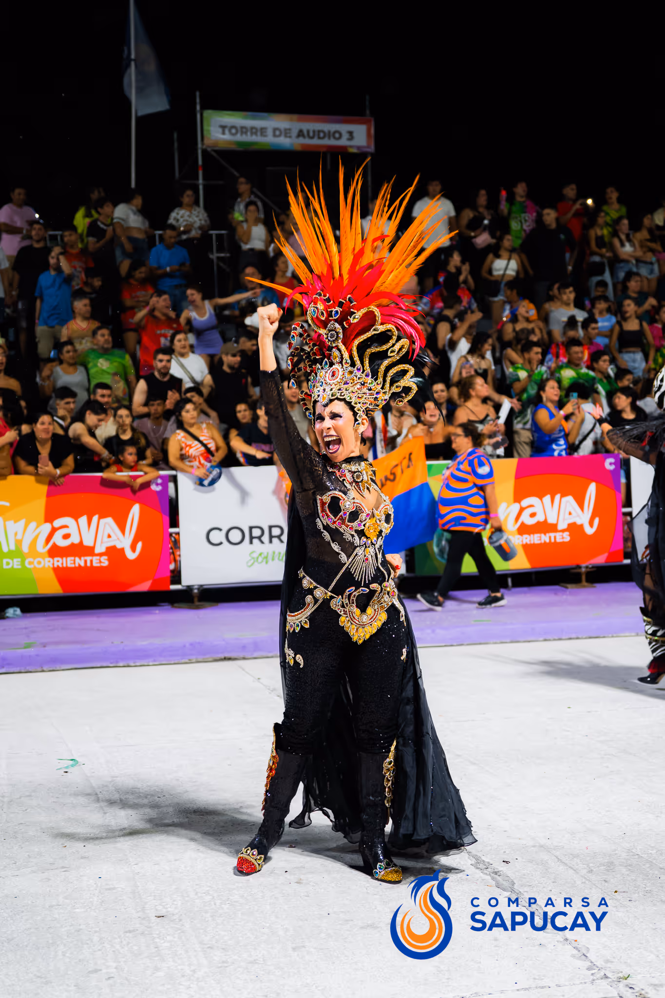 Galería de fotos del corso del Carnaval 2025