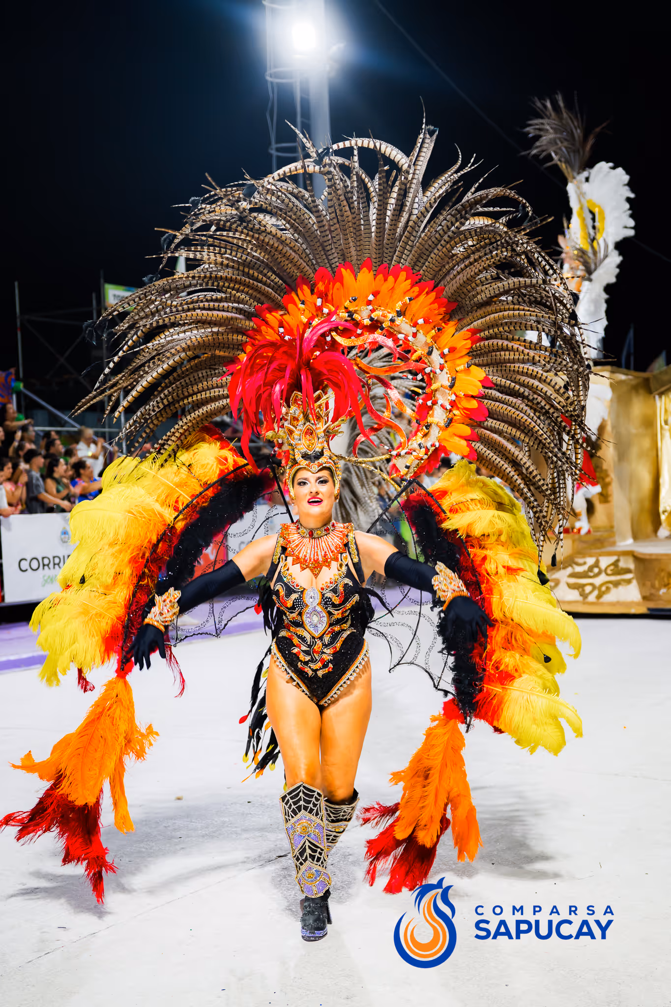Galería de fotos del corso del Carnaval 2025