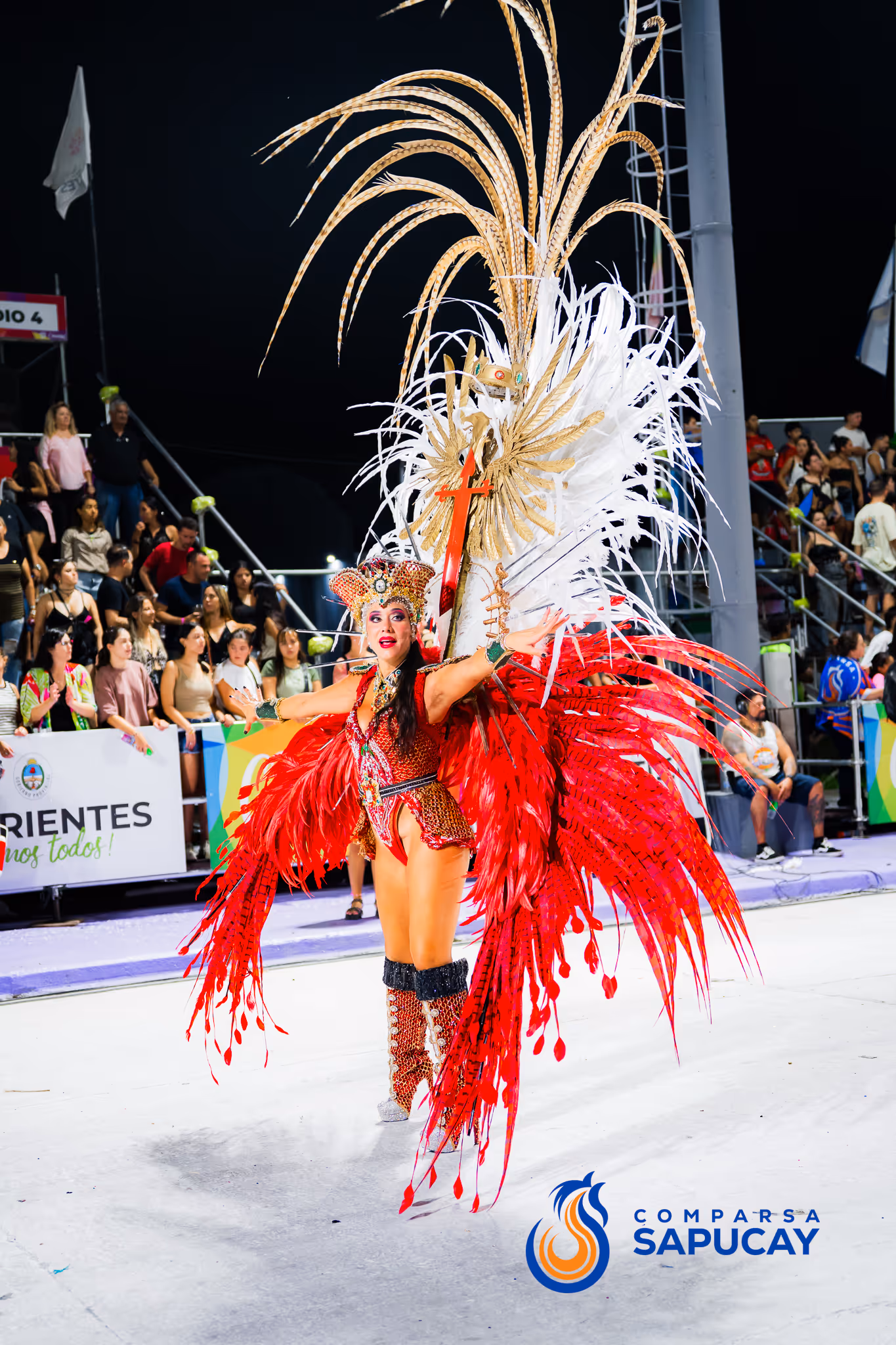 Galería de fotos del corso del Carnaval 2025