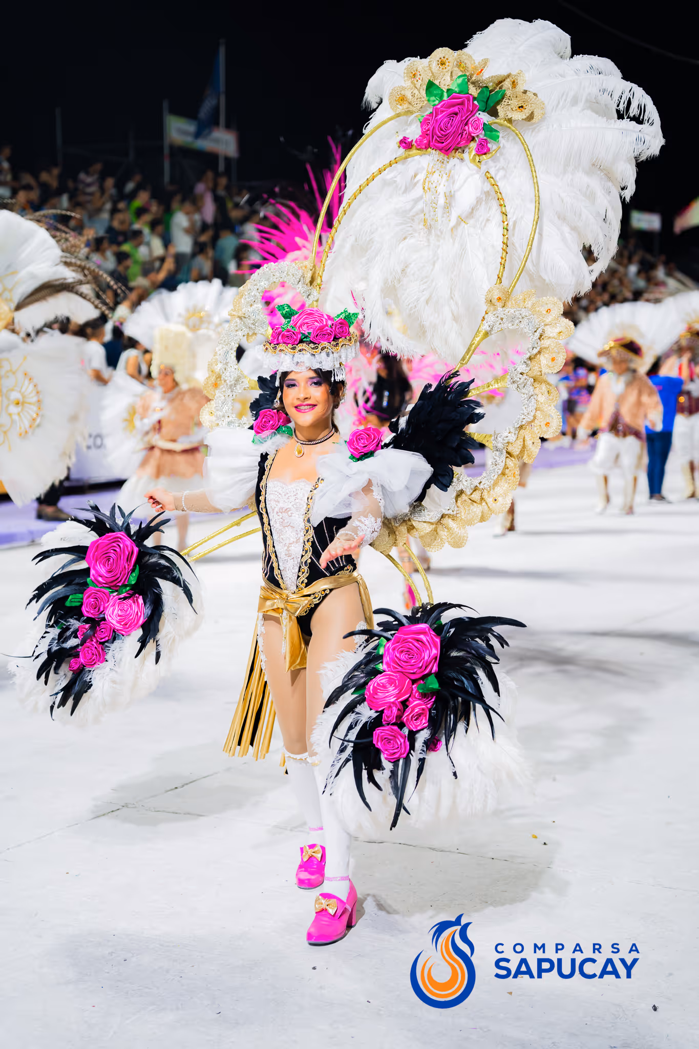 Galería de fotos del corso del Carnaval 2025