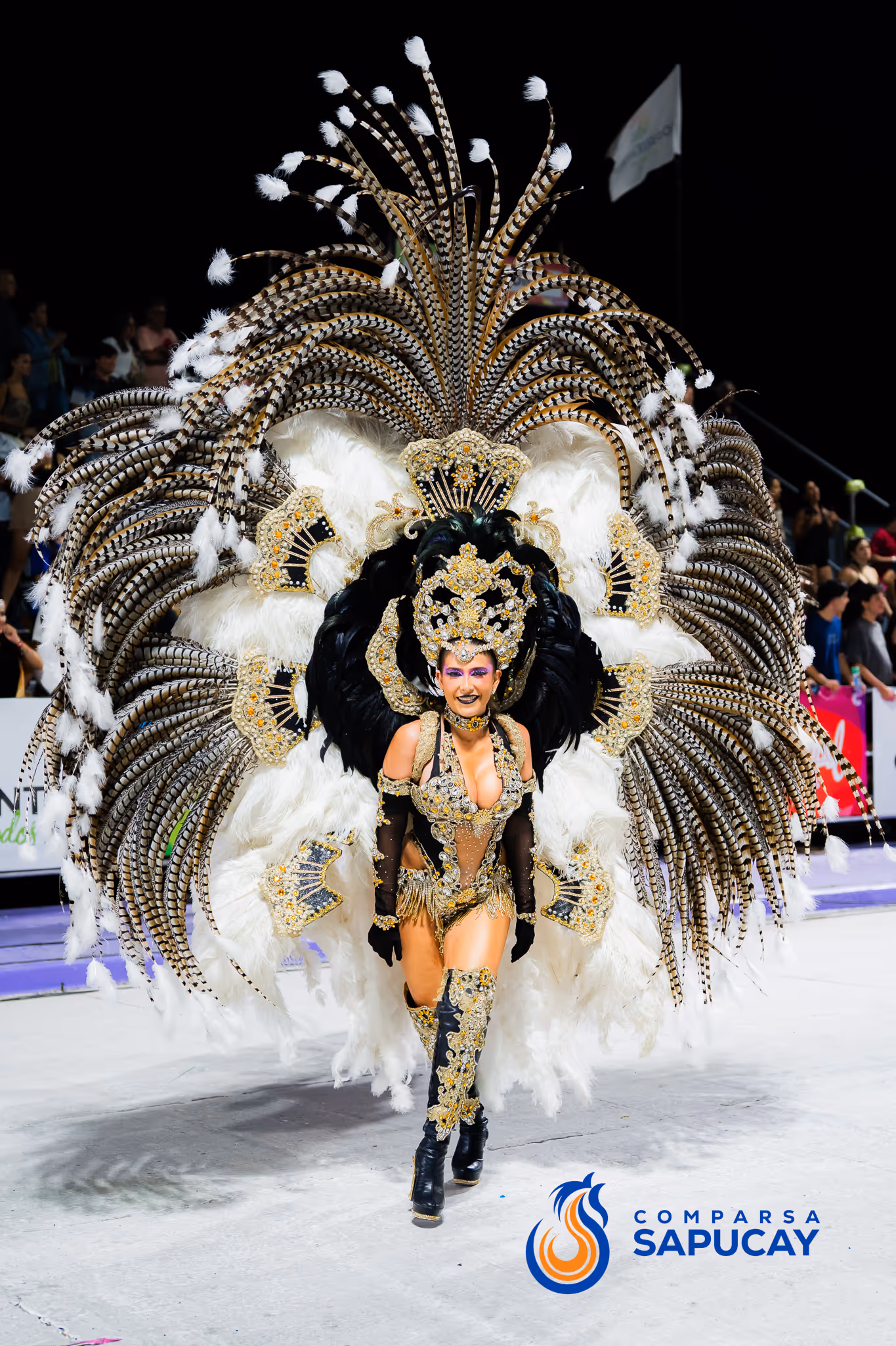 Galería de fotos del corso del Carnaval 2025