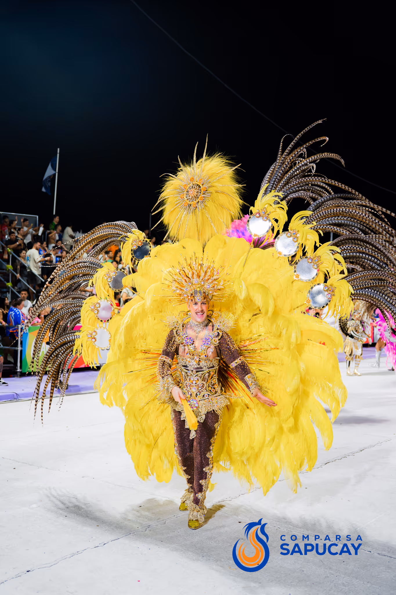 Galería de fotos del corso del Carnaval 2025
