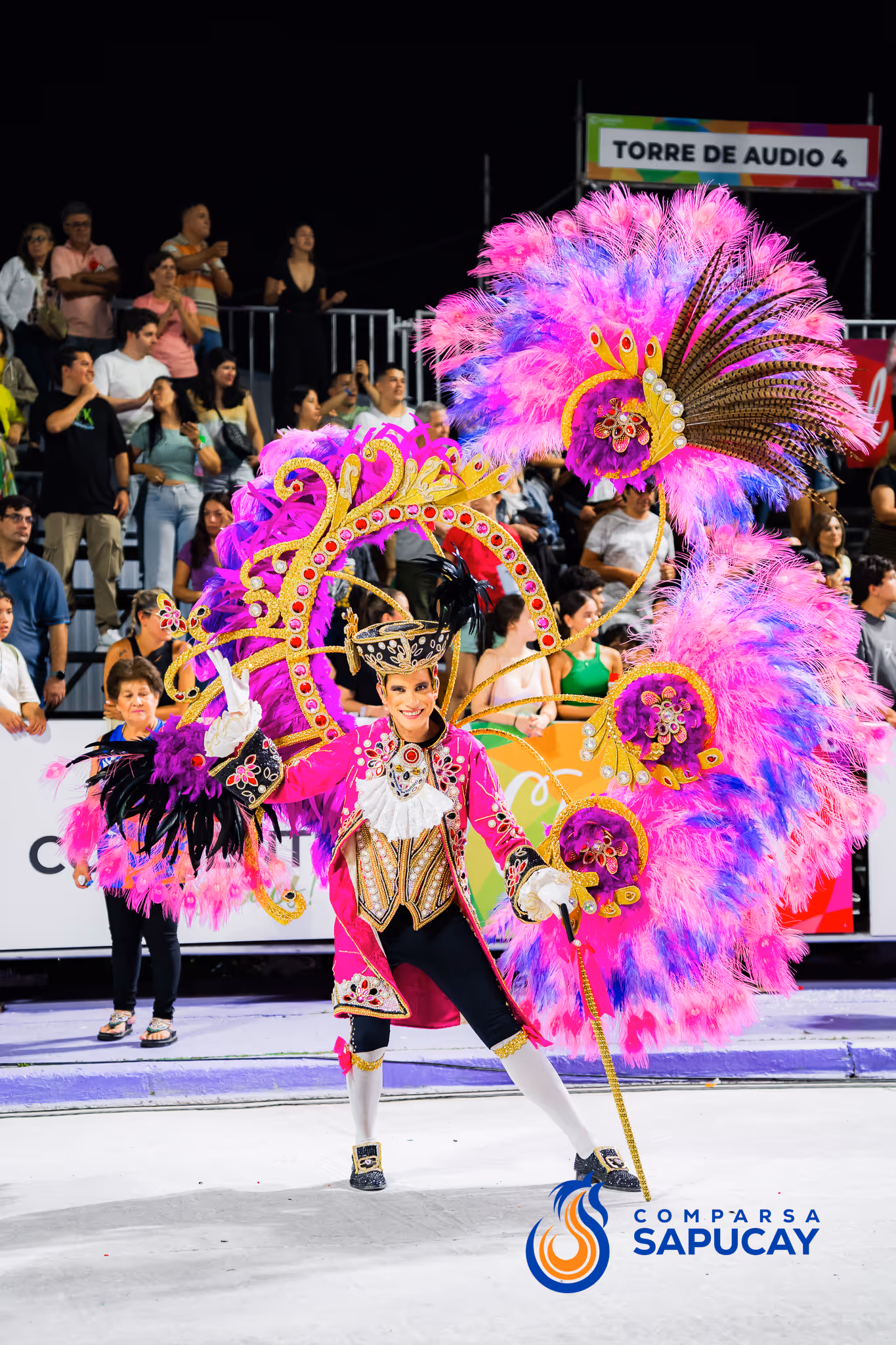 Galería de fotos del corso del Carnaval 2025