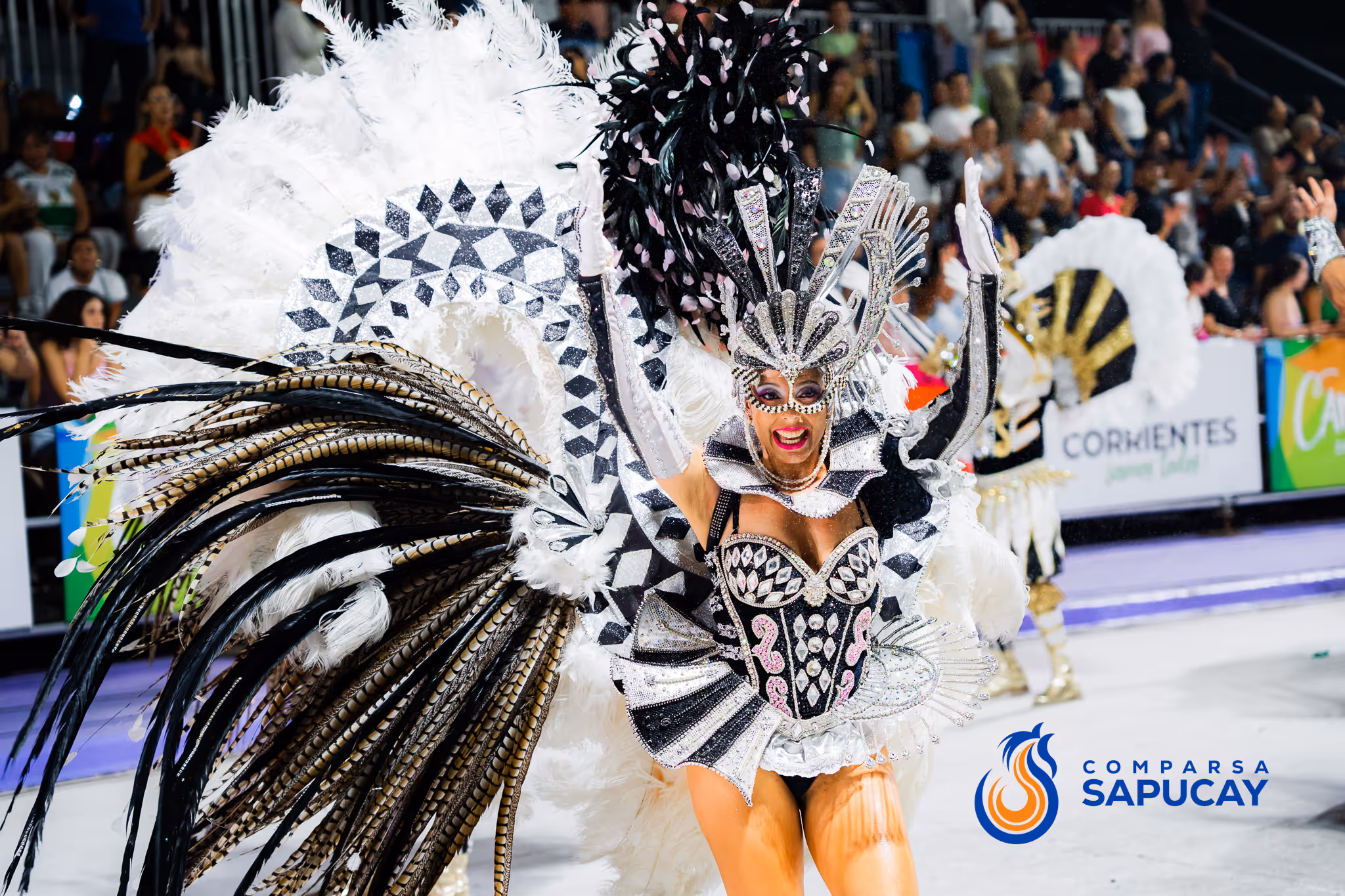Galería de fotos del corso del Carnaval 2025