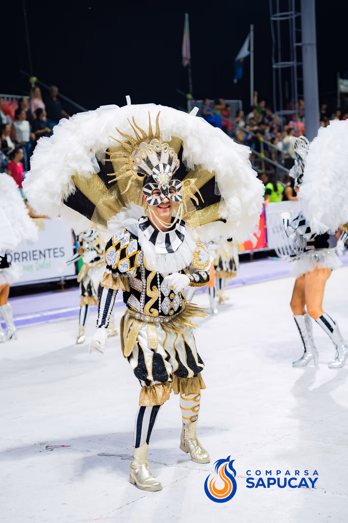 Galería de fotos del corso del Carnaval 2025