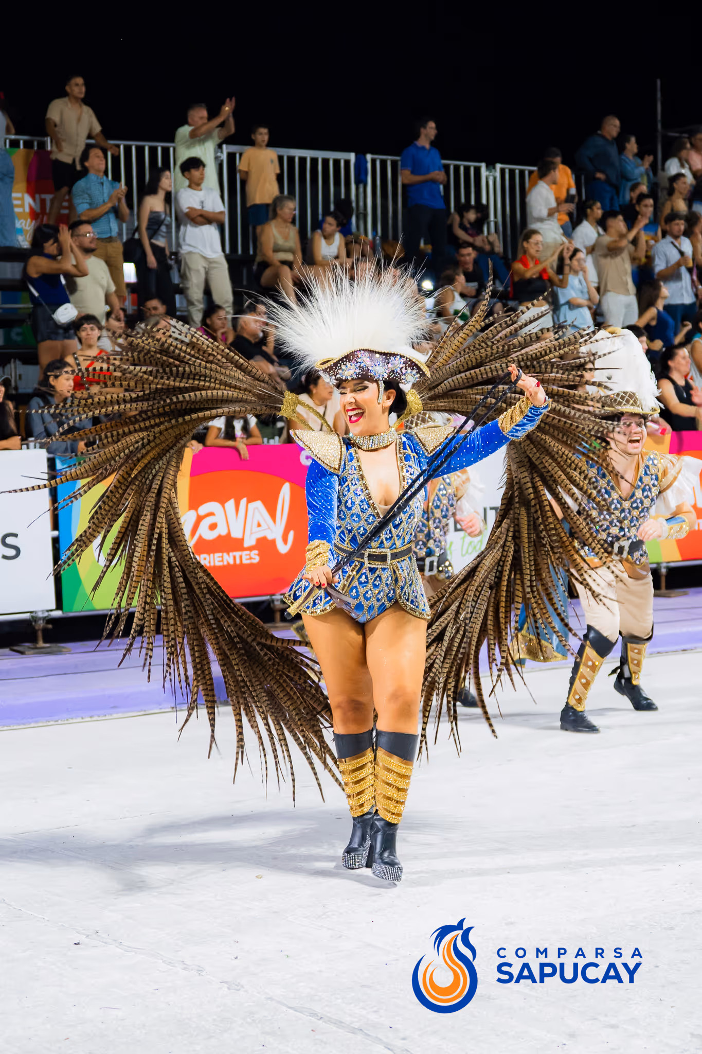 Galería de fotos del corso del Carnaval 2025