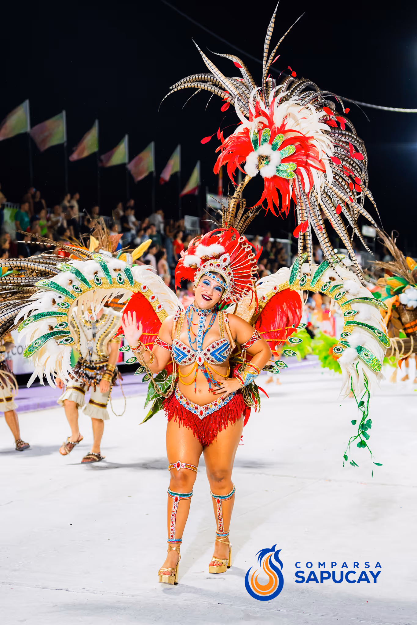 Galería de fotos del corso del Carnaval 2025