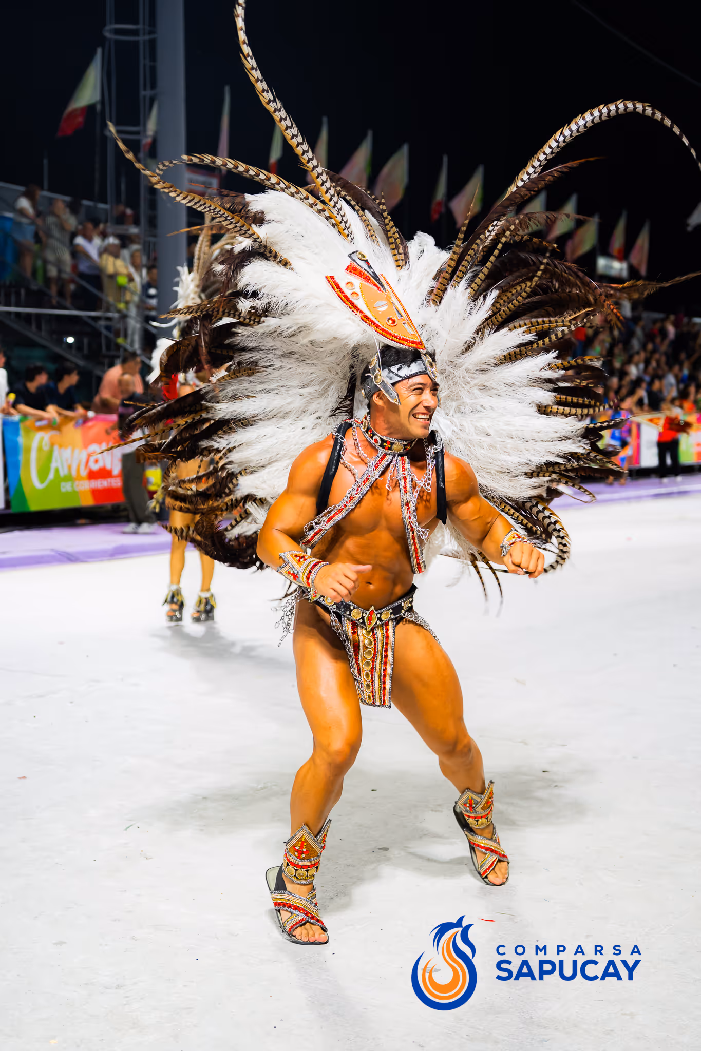 Galería de fotos del corso del Carnaval 2025