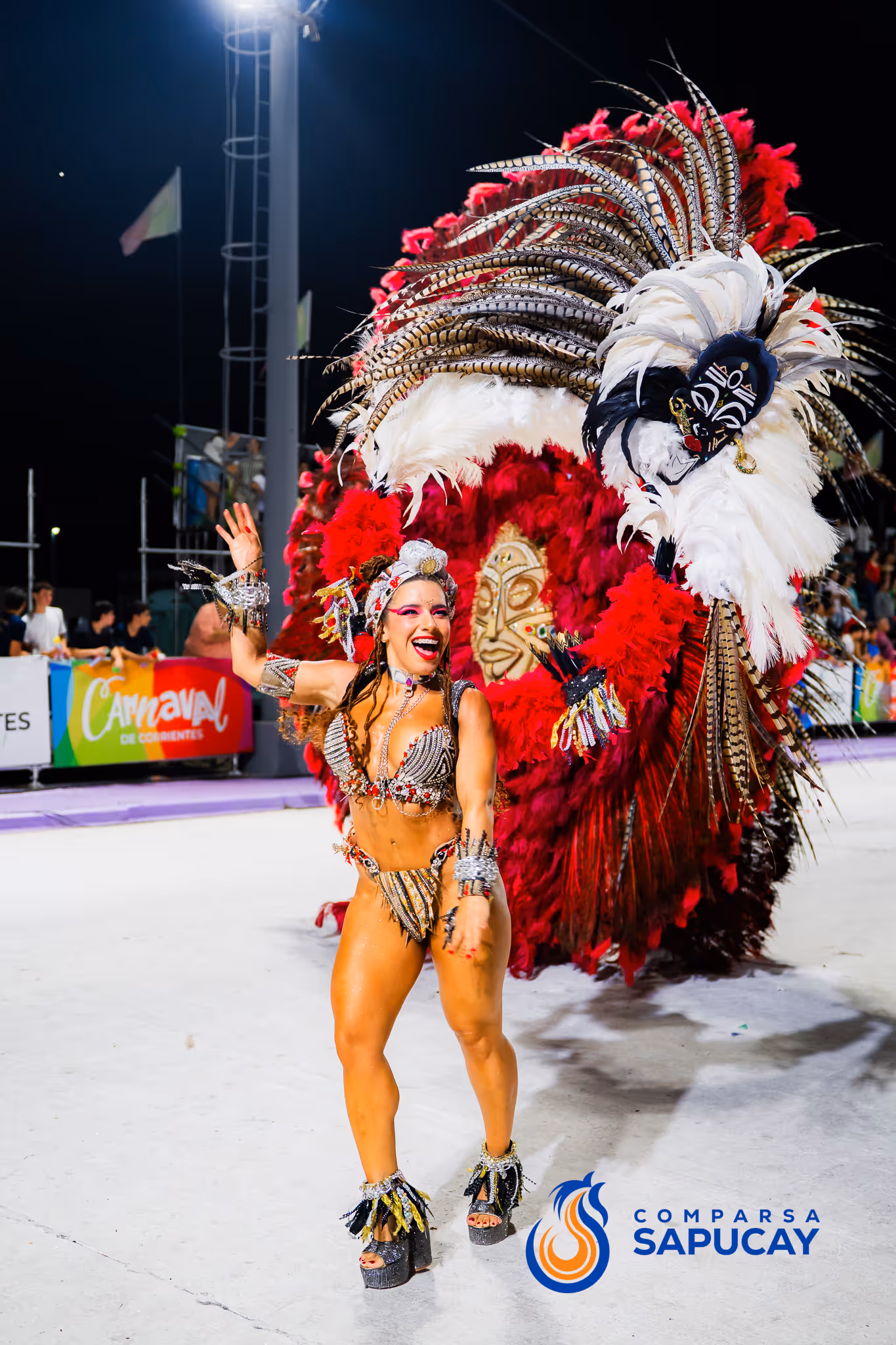 Galería de fotos del corso del Carnaval 2025