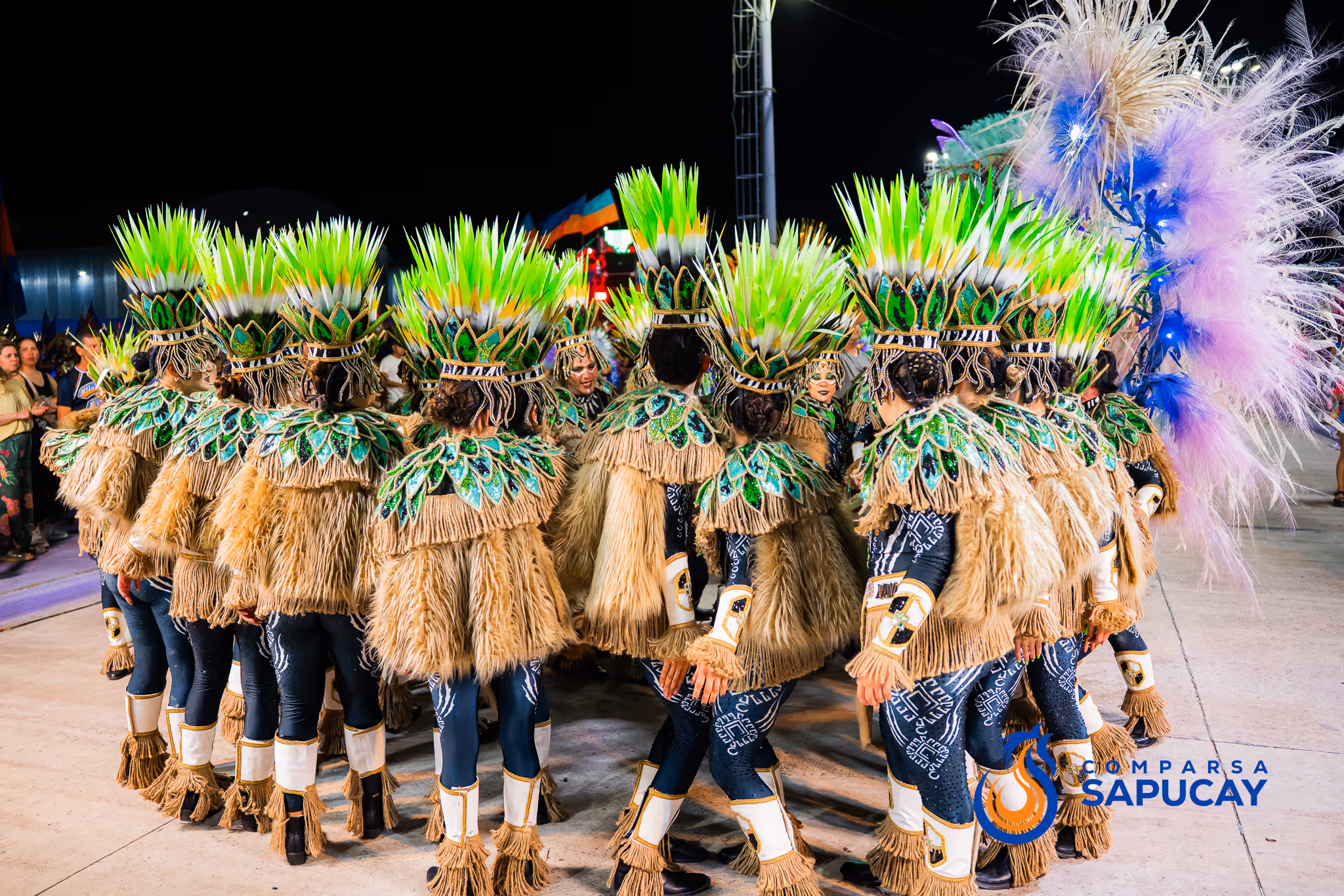 Galería de fotos del corso del Carnaval 2025