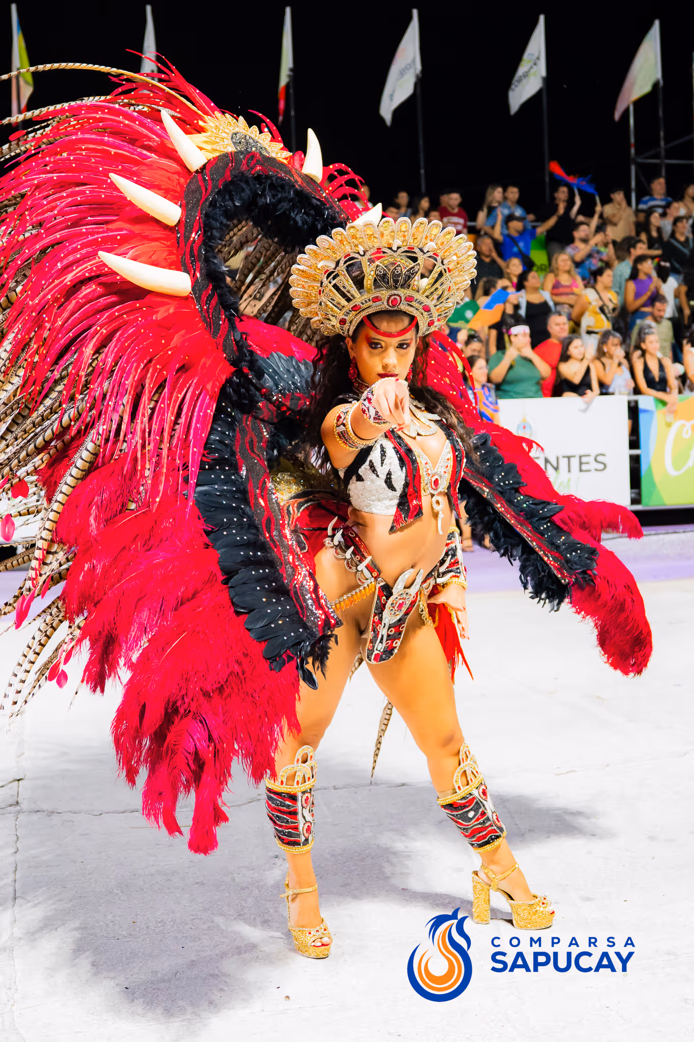 Galería de fotos del corso del Carnaval 2025