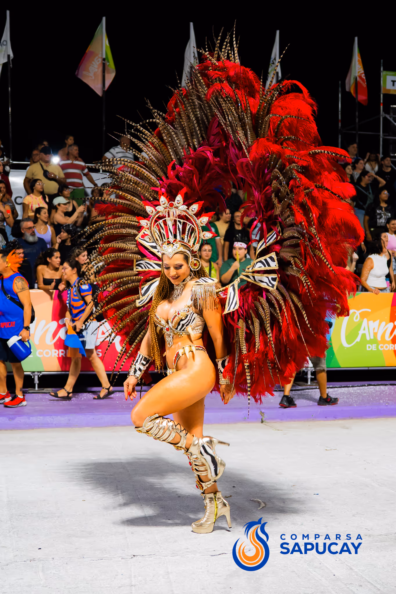 Galería de fotos del corso del Carnaval 2025