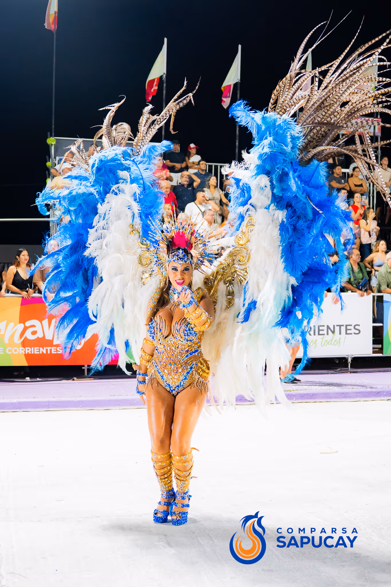 Galería de fotos del corso del Carnaval 2025