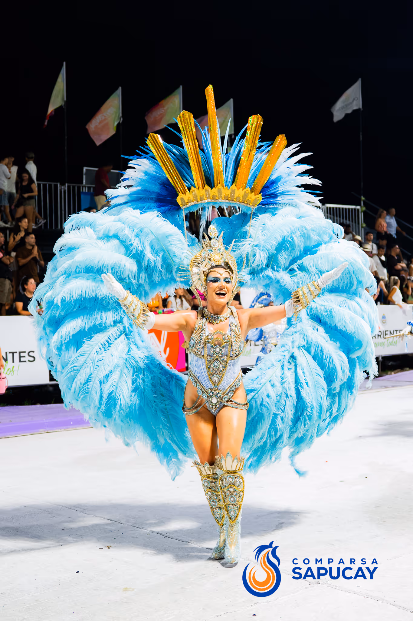 Galería de fotos del corso del Carnaval 2025