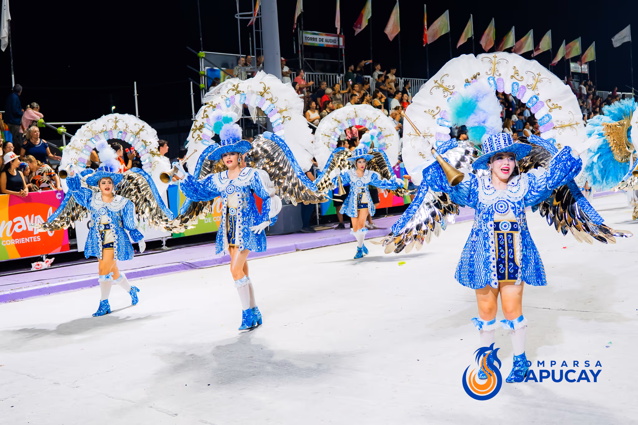 Galería de fotos del corso del Carnaval 2025