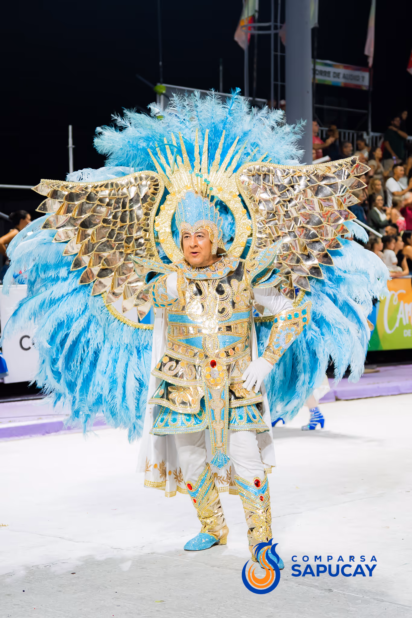 Galería de fotos del corso del Carnaval 2025