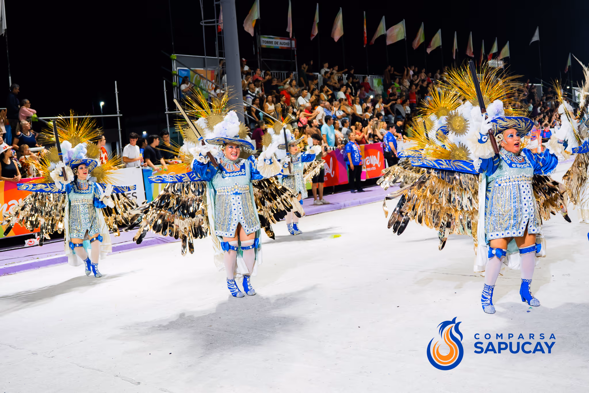 Galería de fotos del corso del Carnaval 2025