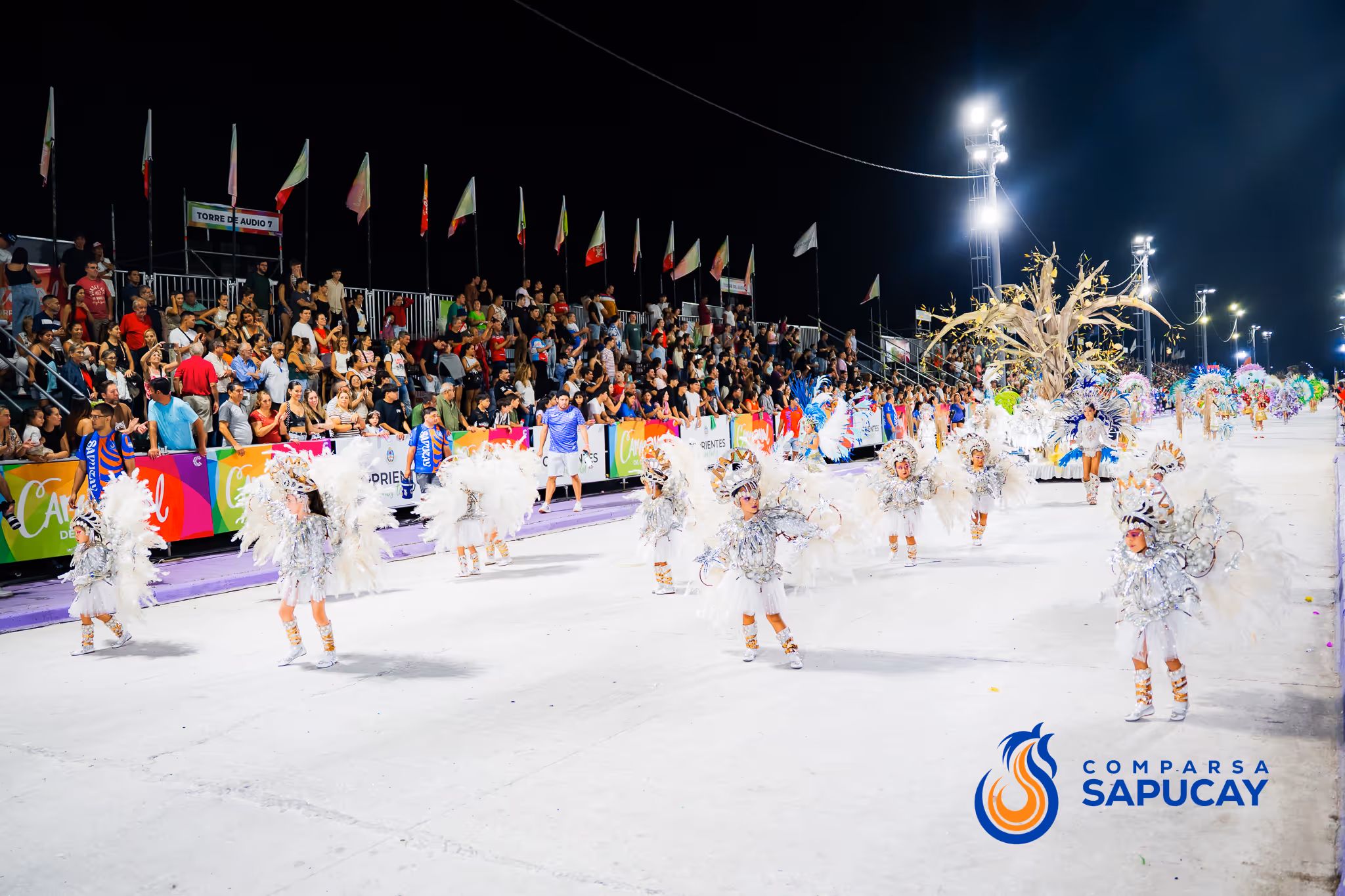 Galería de fotos del corso del Carnaval 2025