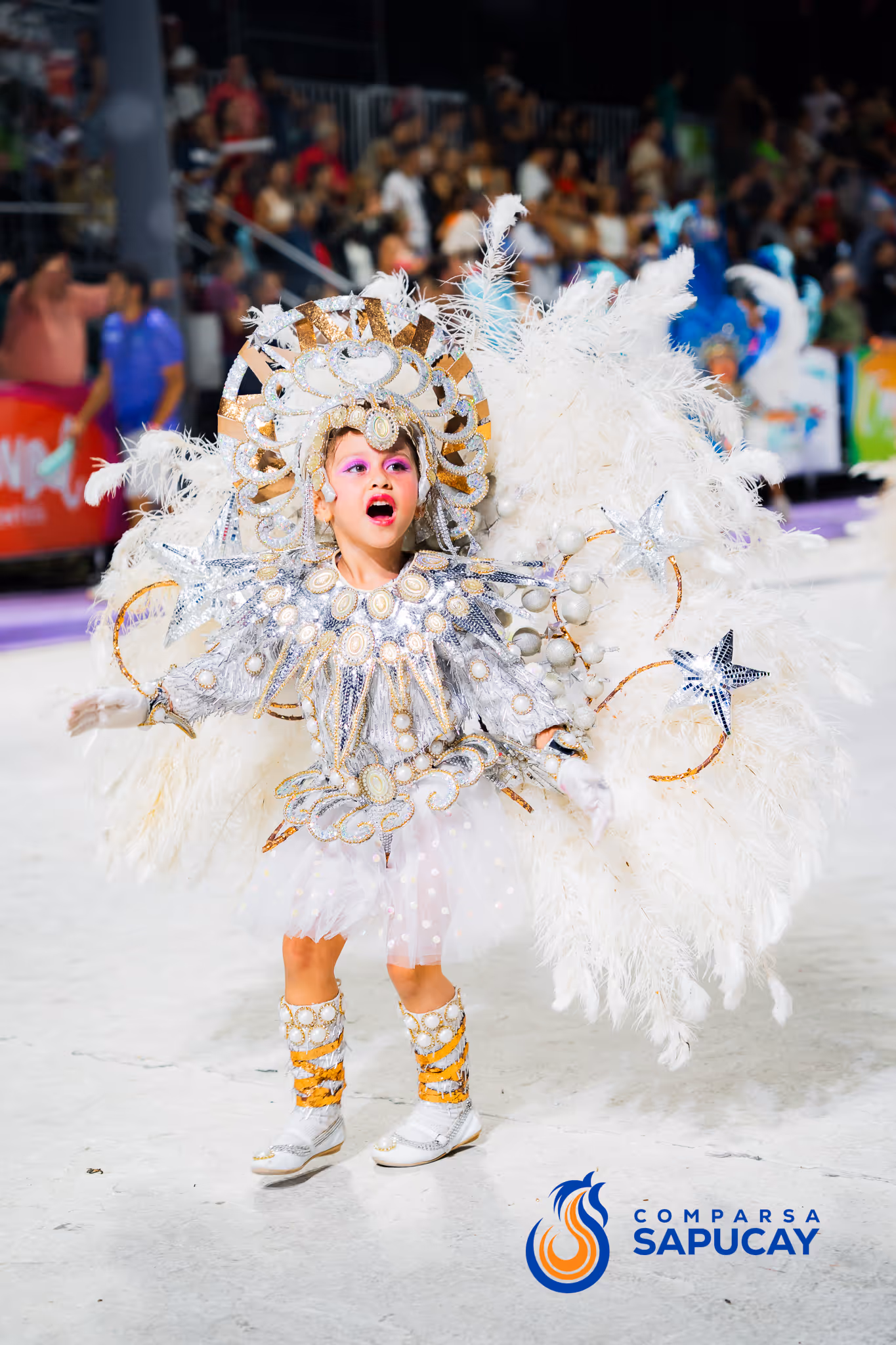Galería de fotos del corso del Carnaval 2025