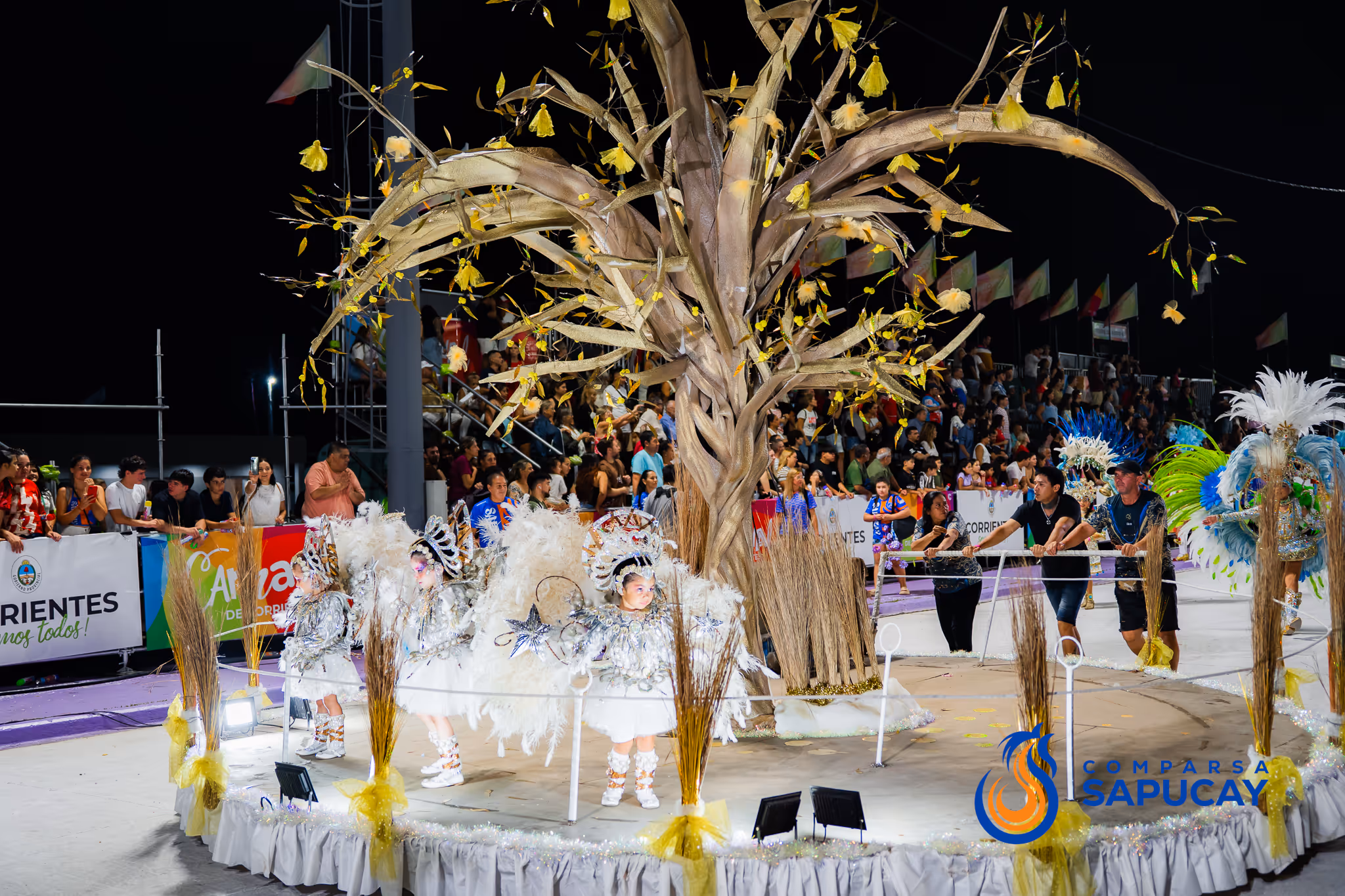 Galería de fotos del corso del Carnaval 2025