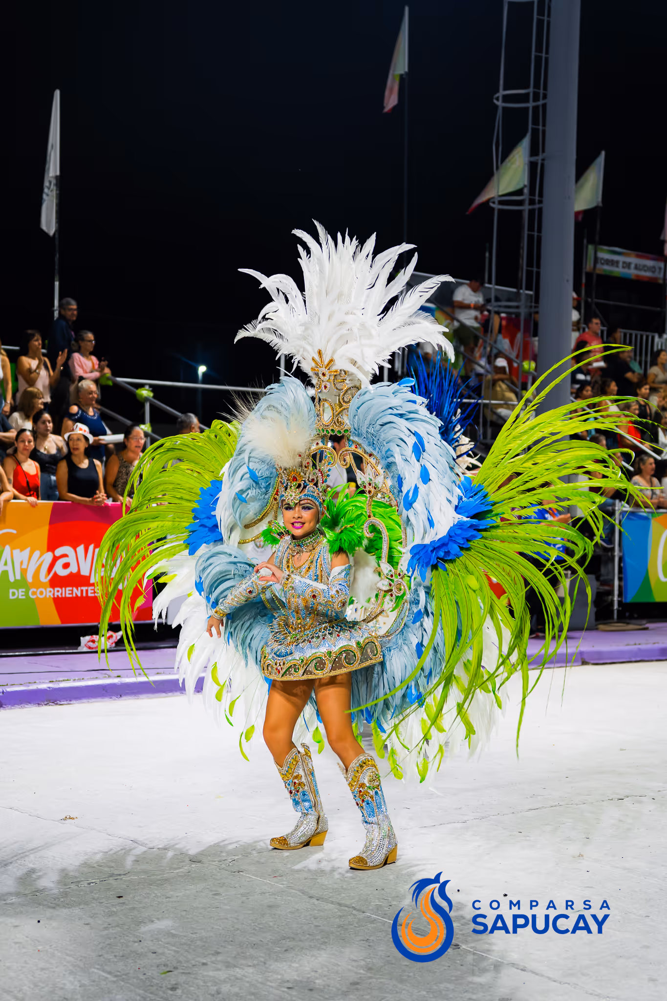 Galería de fotos del corso del Carnaval 2025