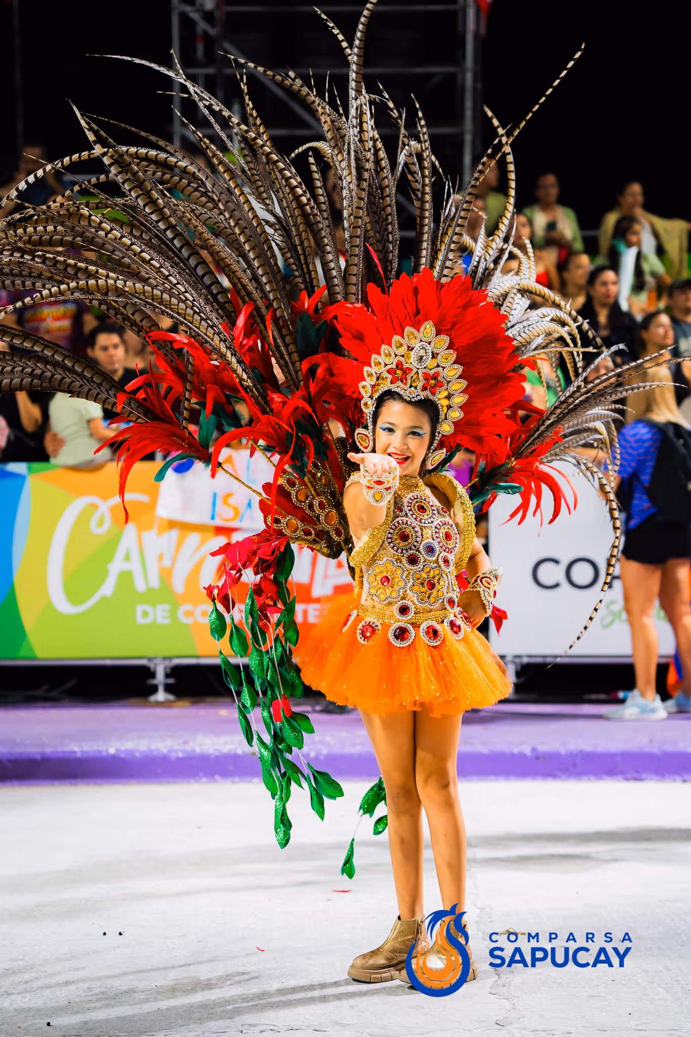 Galería de fotos del corso del Carnaval 2025