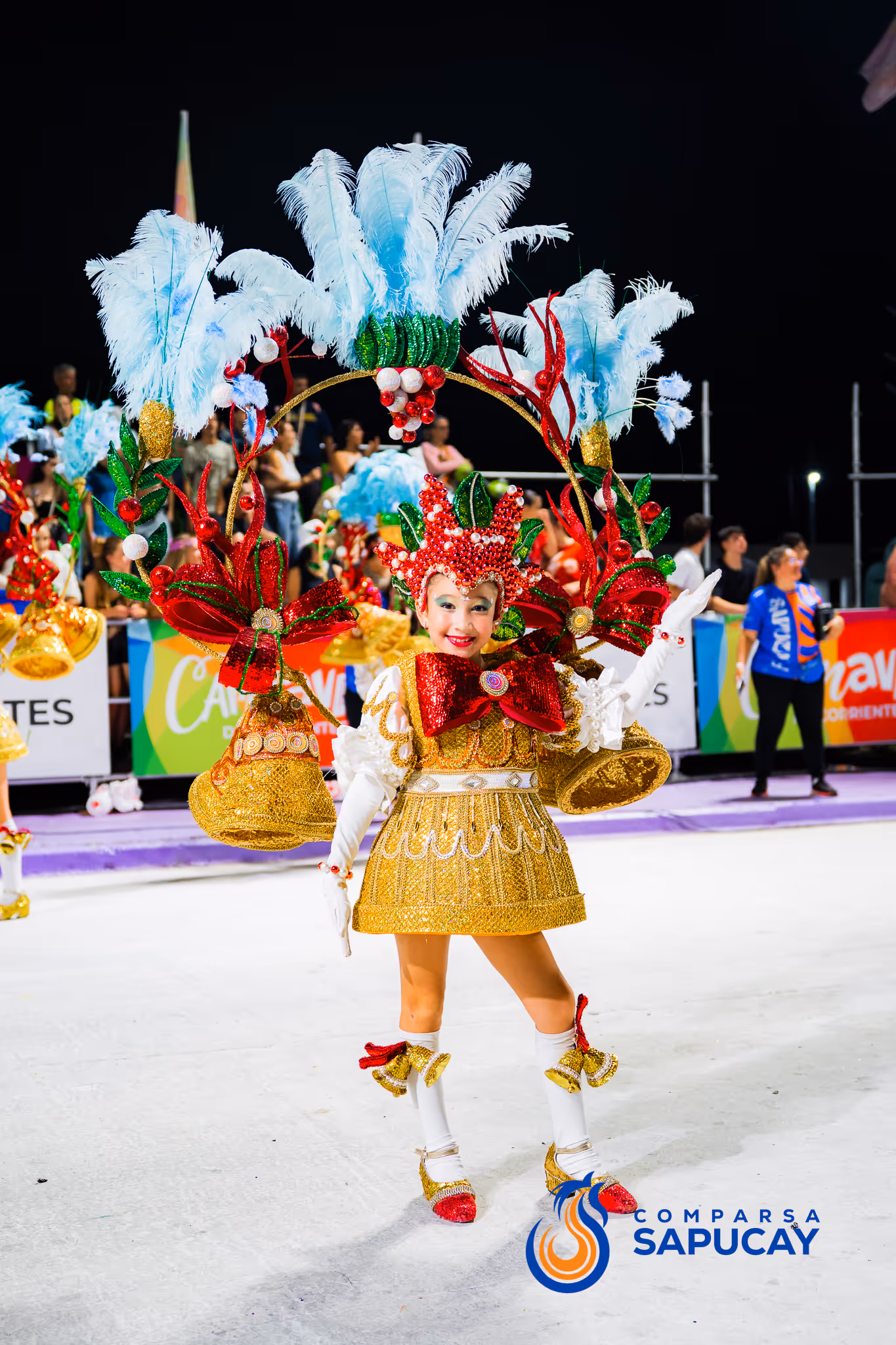 Galería de fotos del corso del Carnaval 2025