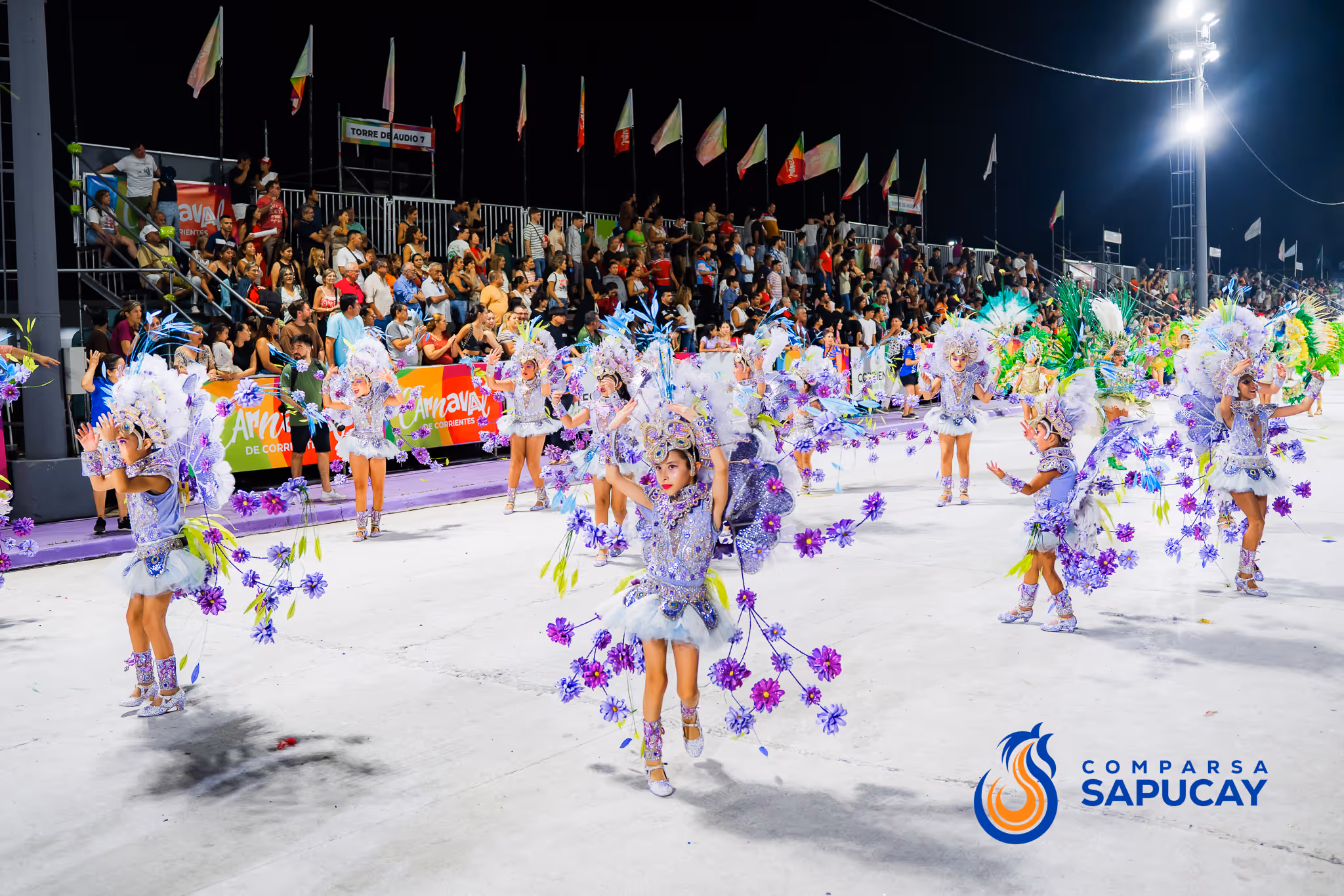 Galería de fotos del corso del Carnaval 2025