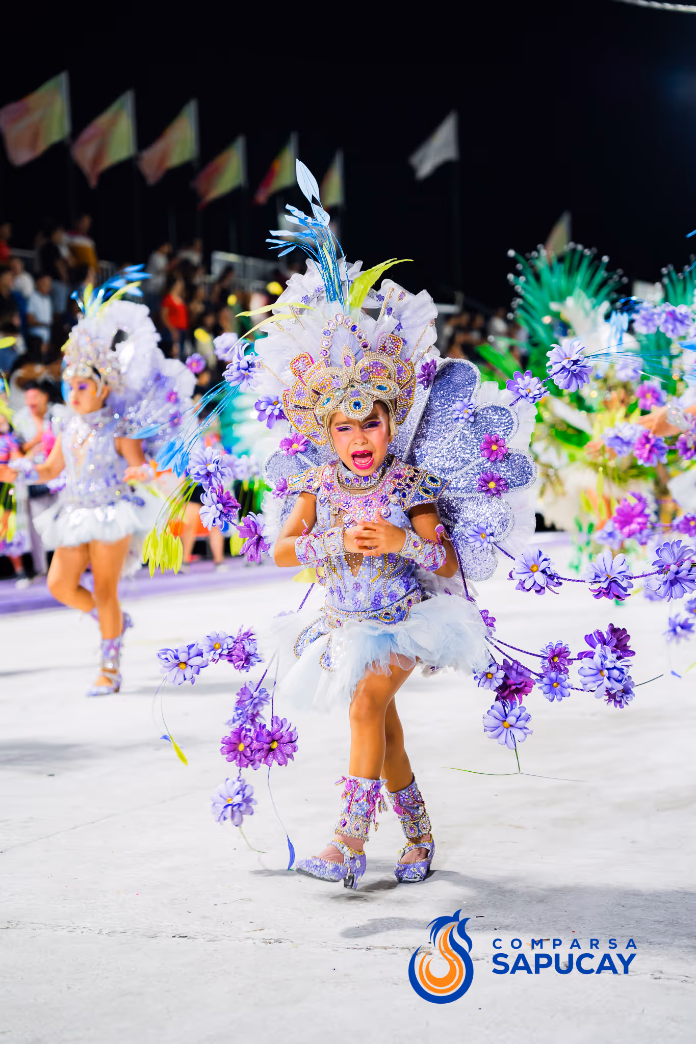 Galería de fotos del corso del Carnaval 2025