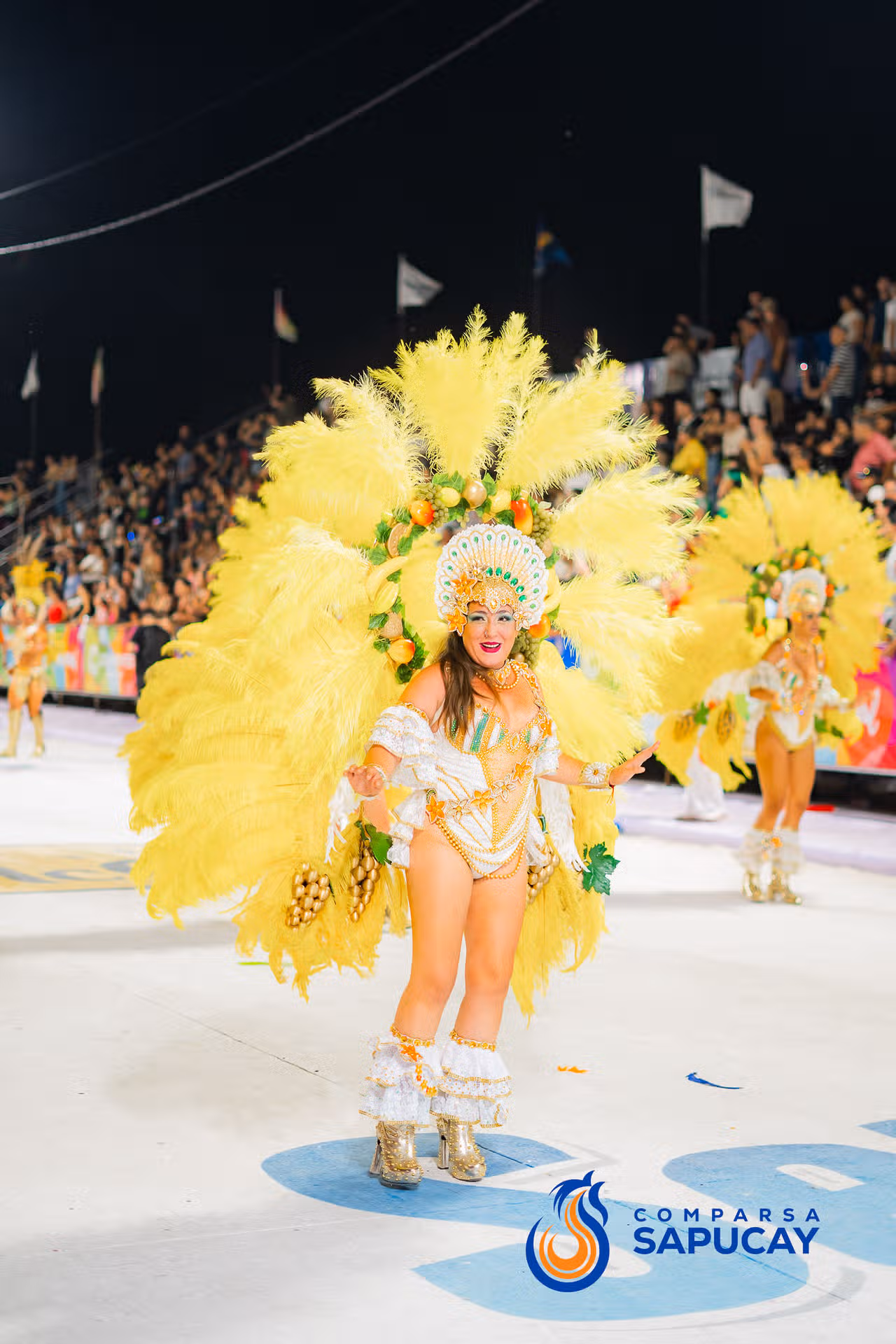 Galeria de fotos de la Cuarta Noche de Corso 14-02-26