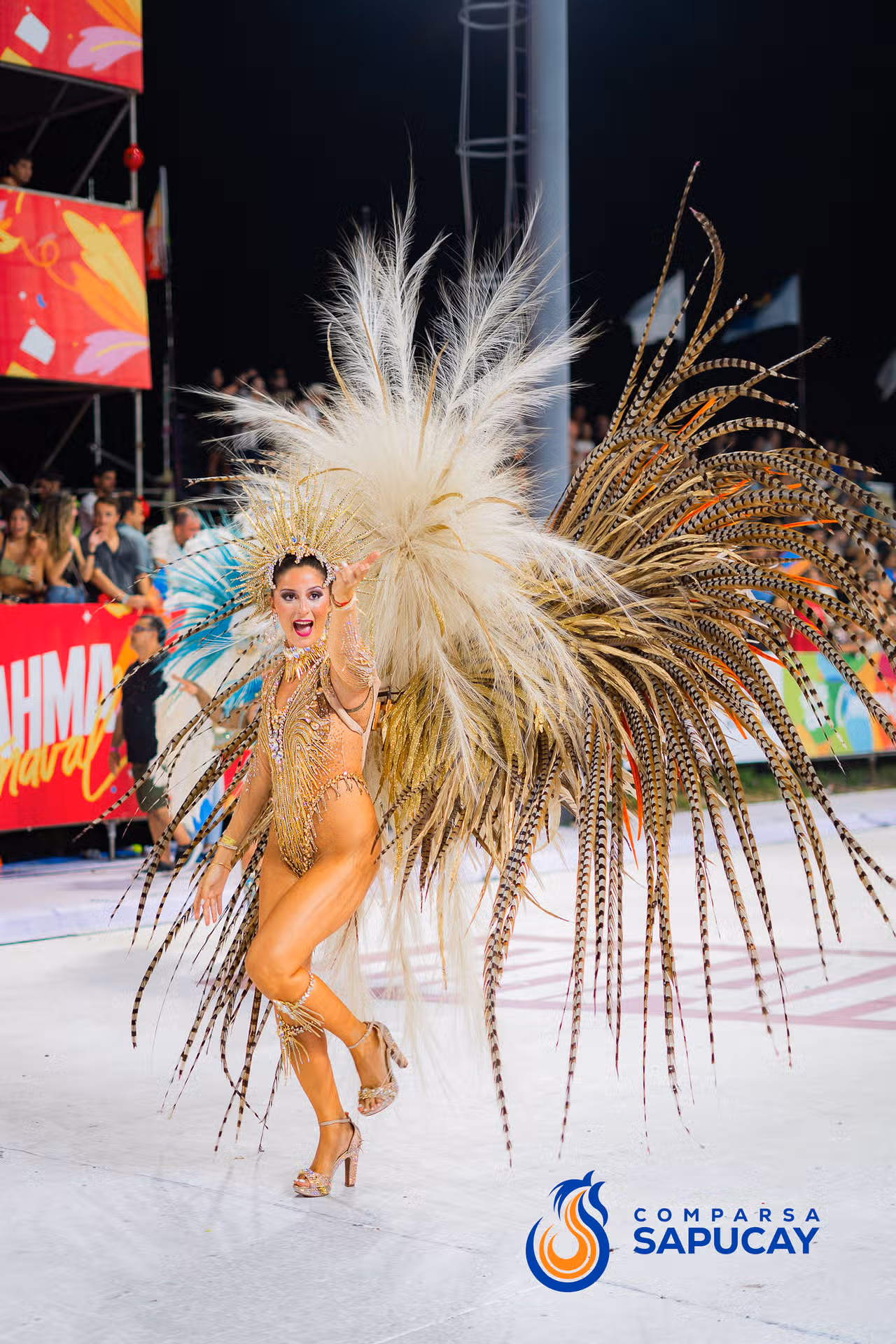 Galeria de fotos de la Cuarta Noche de Corso 14-02-26