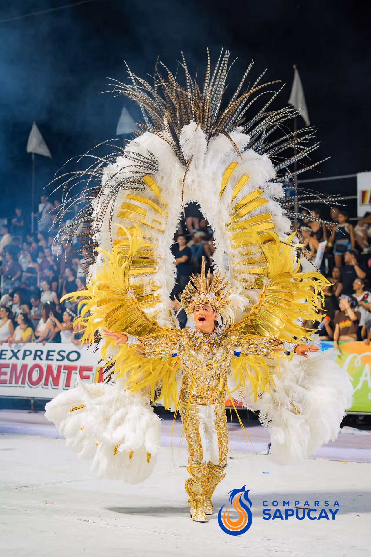 Galeria de fotos de la Cuarta Noche de Corso 14-02-26