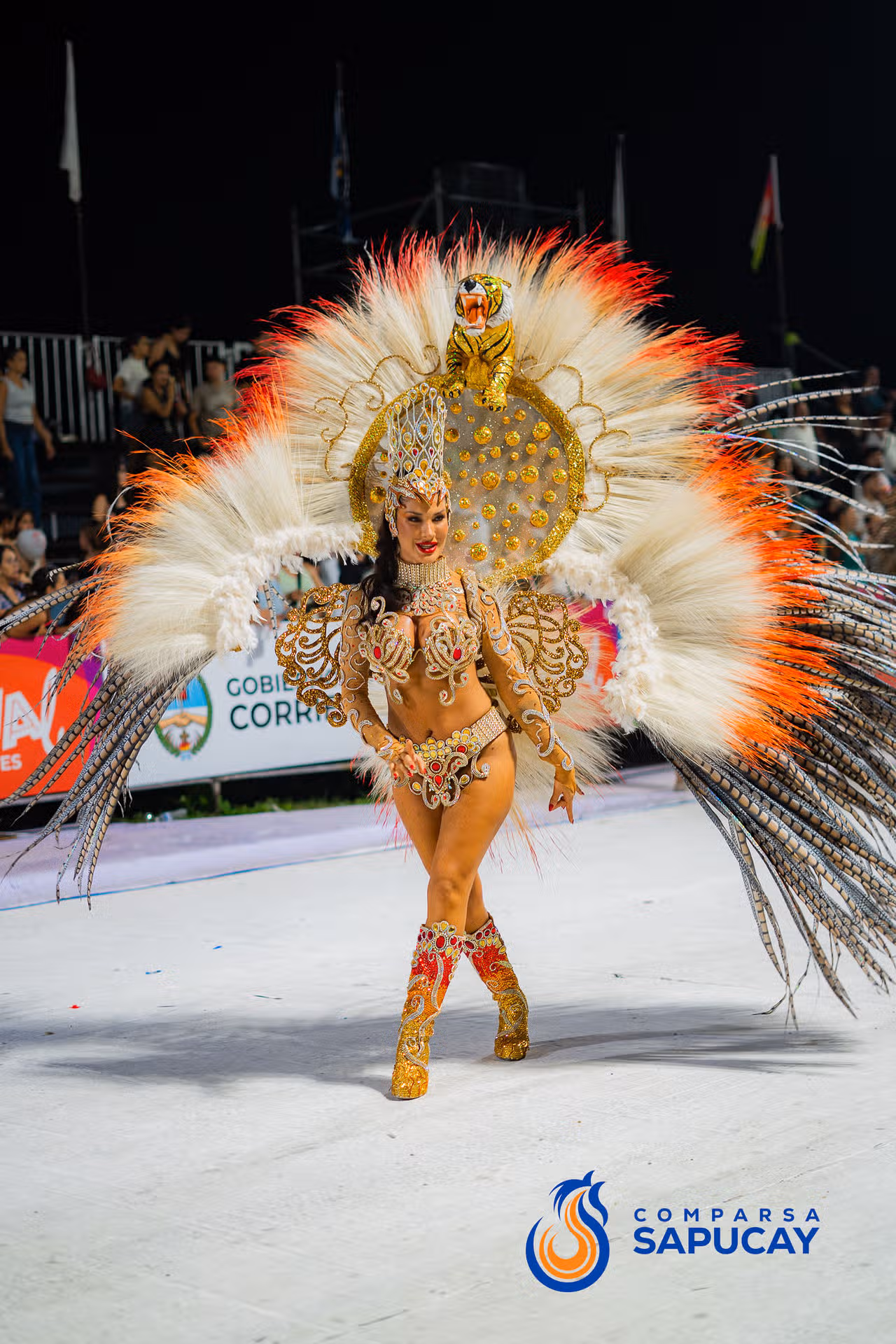 Galeria de fotos de la Cuarta Noche de Corso 14-02-26