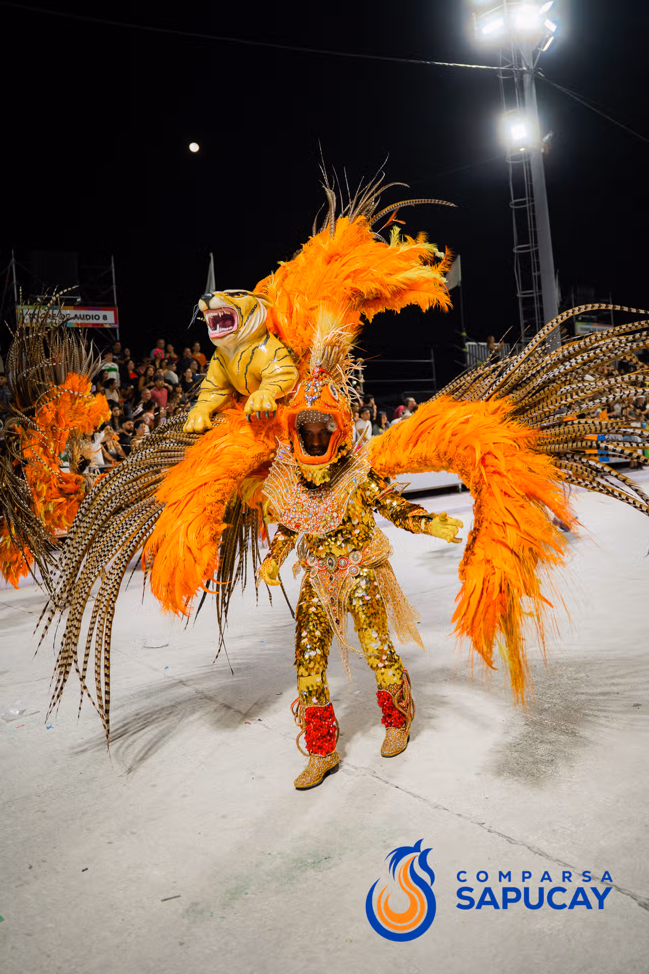Galería de fotos de la Décima Noche de Corso 28-02-26