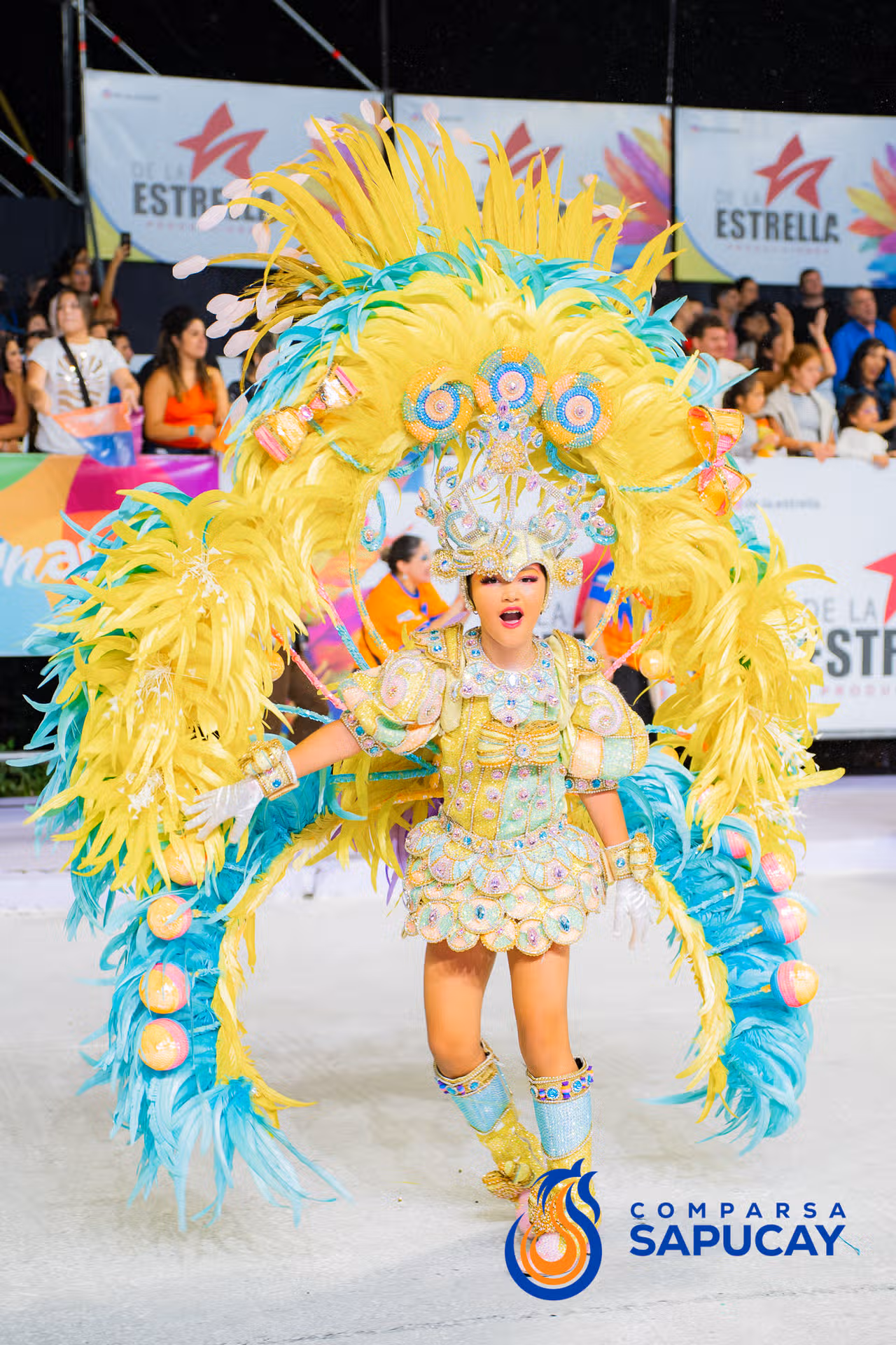 Galería de fotos de la Décima Noche de Corso 28-02-26