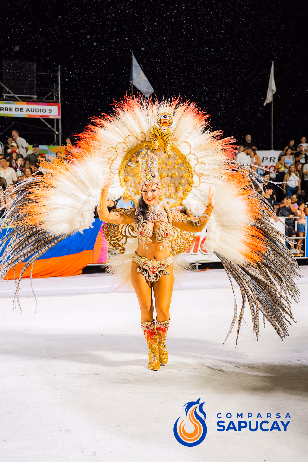 Galeria de fotos de la Novena Noche de Corso 27-02-26