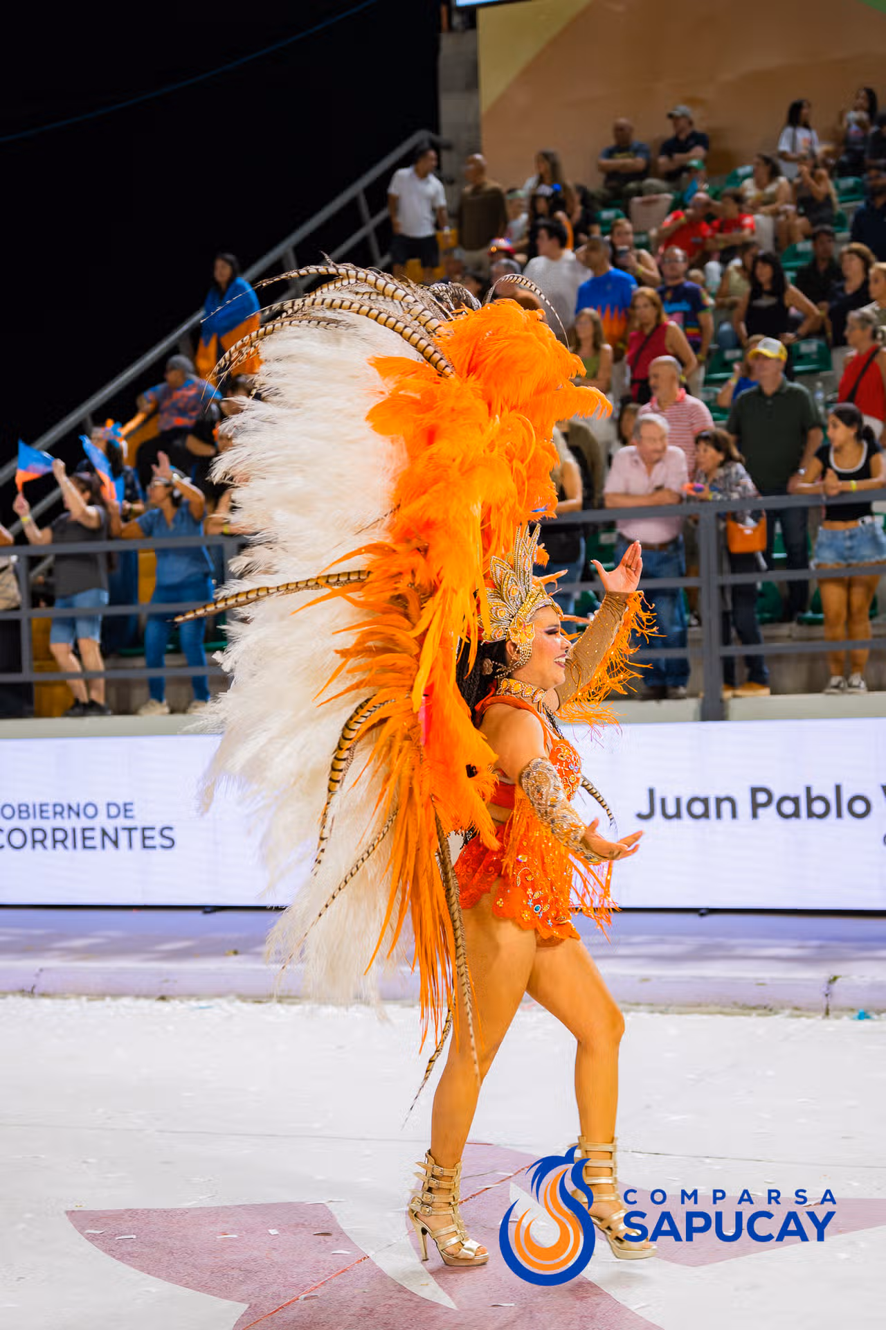 Galeria de fotos de la Novena Noche de Corso 27-02-26