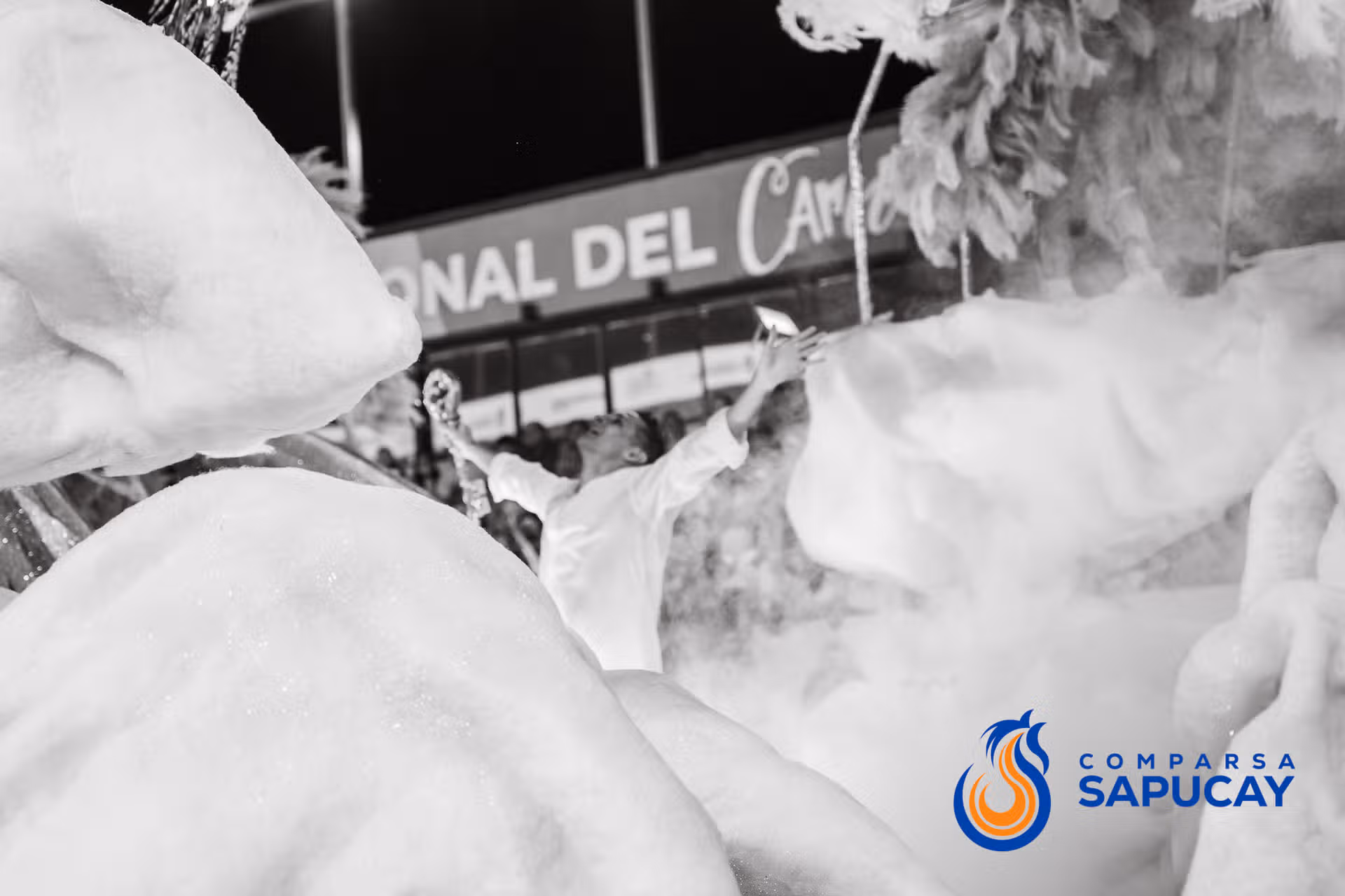 Galeria de fotos de la Novena Noche de Corso 27-02-26