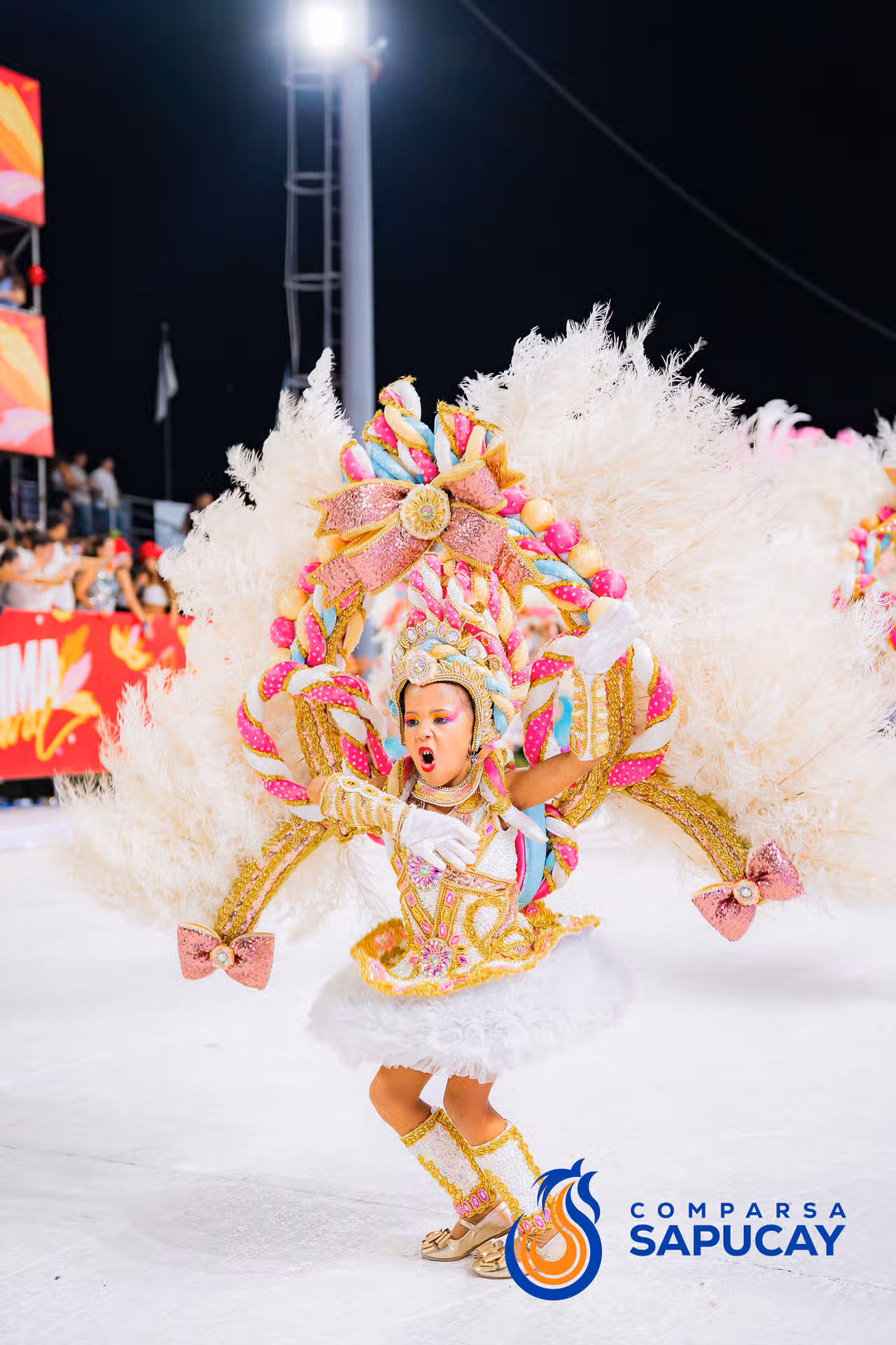 Galería de fotos de la Octava Noche de Corso 21-02-26