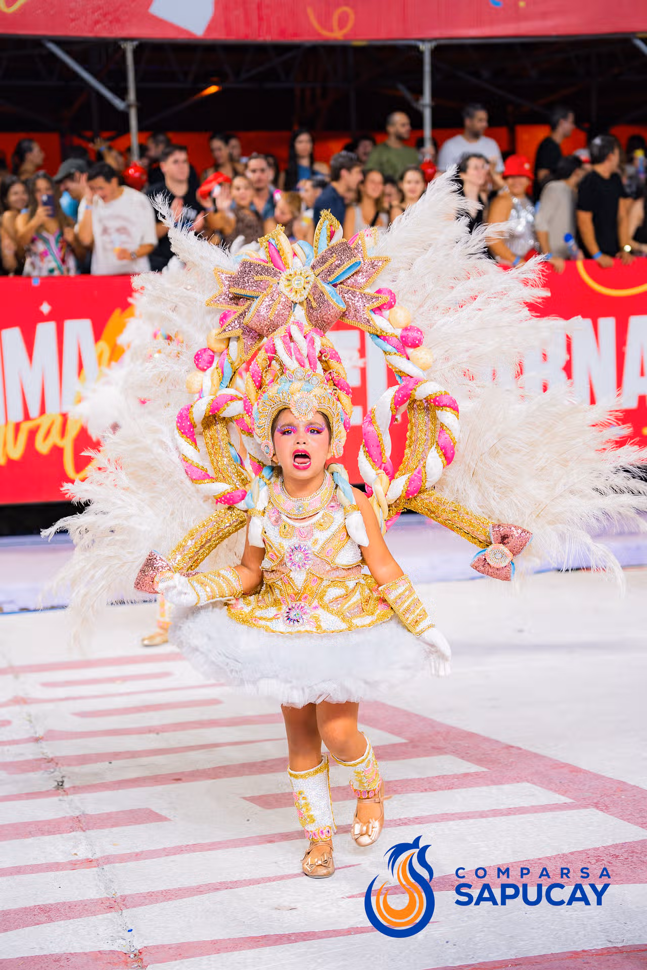 Galería de fotos de la Octava Noche de Corso 21-02-26