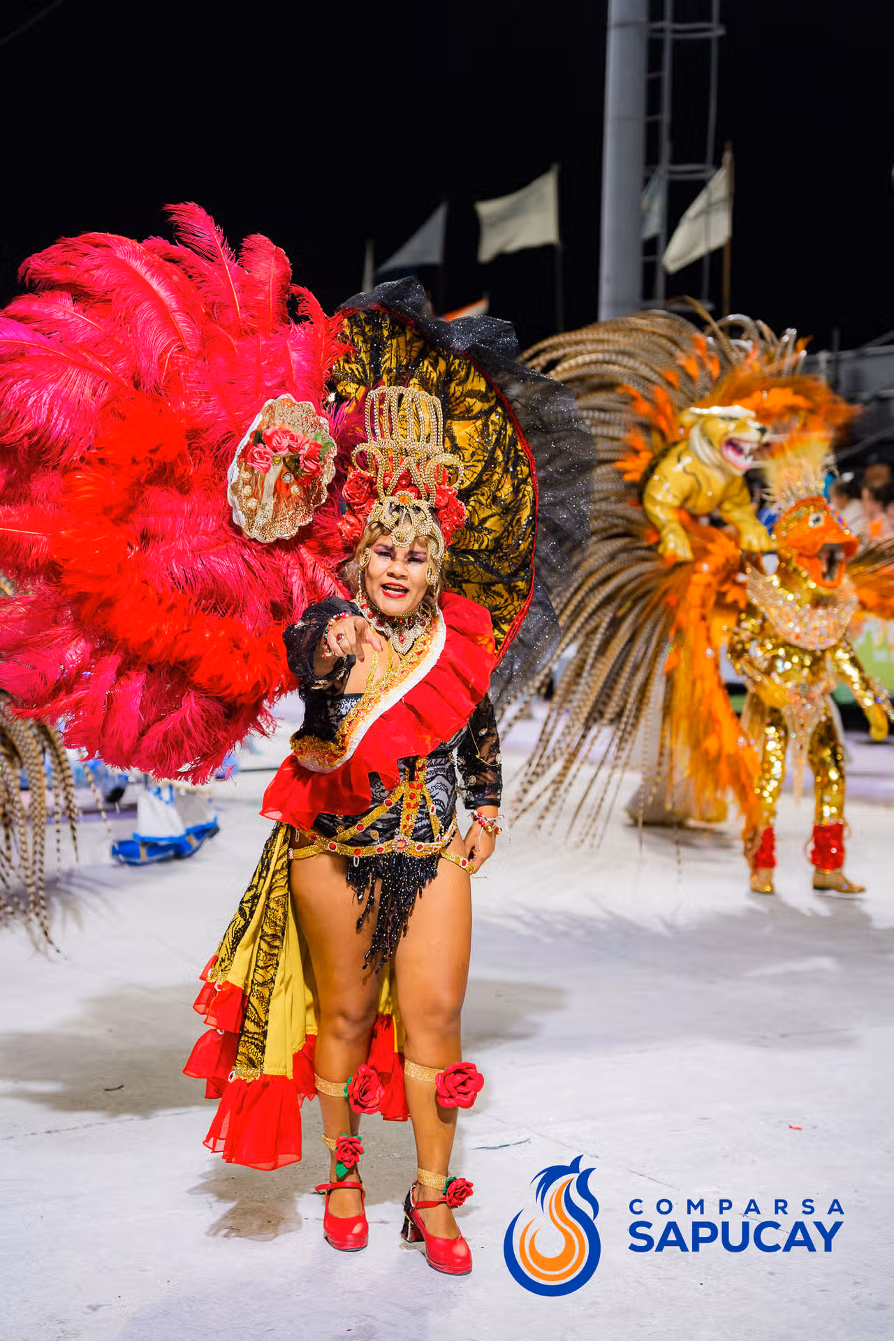 Galería de fotos de la Octava Noche de Corso 21-02-26