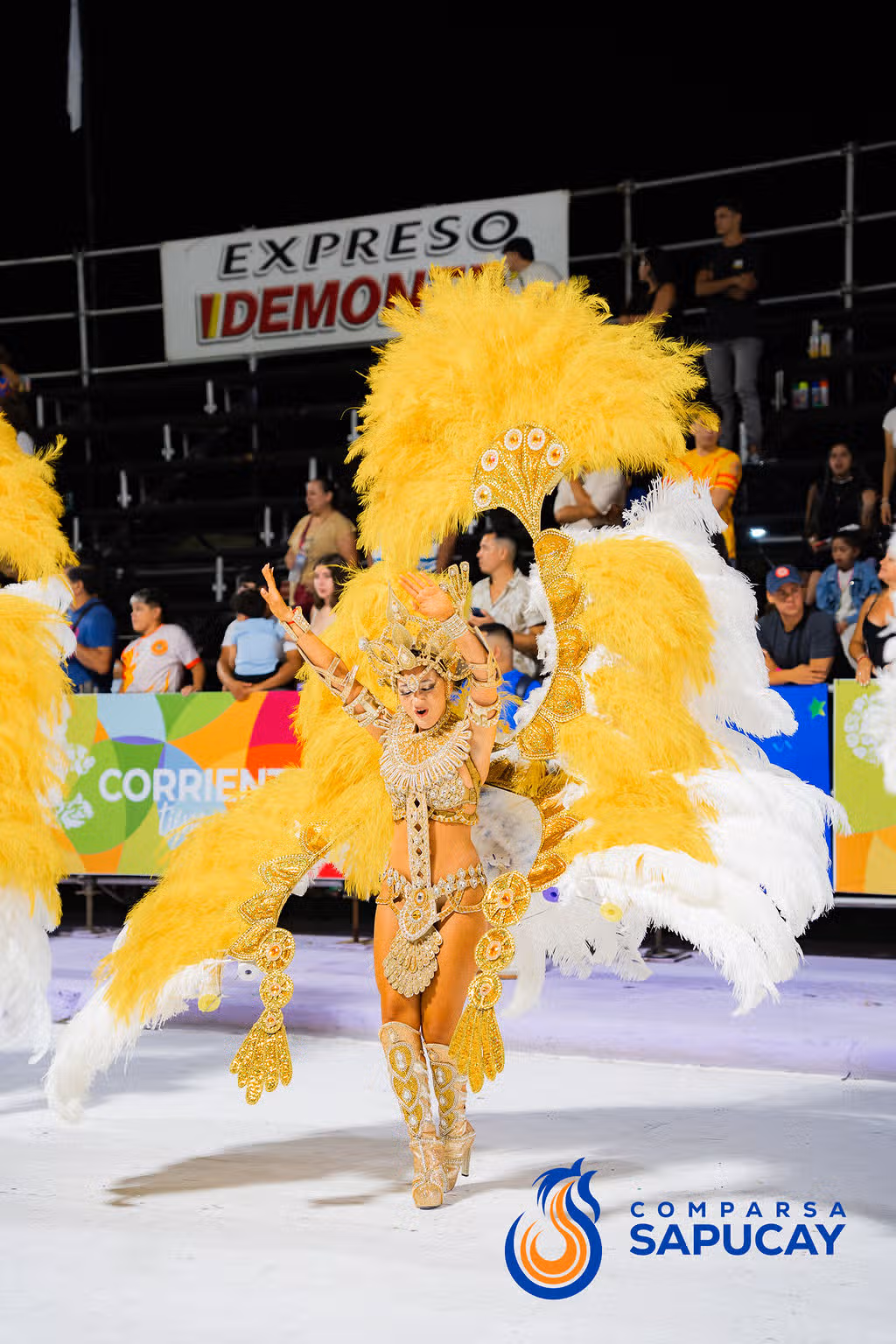 Galería de fotos de la Primera Noche de Corso 31-01-26