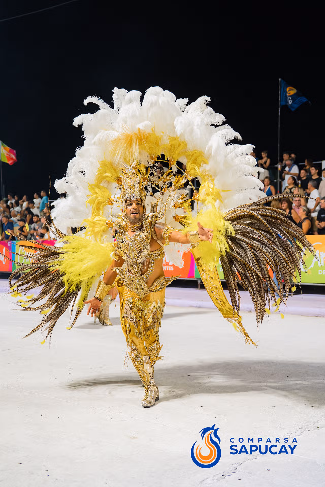Galeria de fotos de la Quinta Noche de Corso 15-02-26