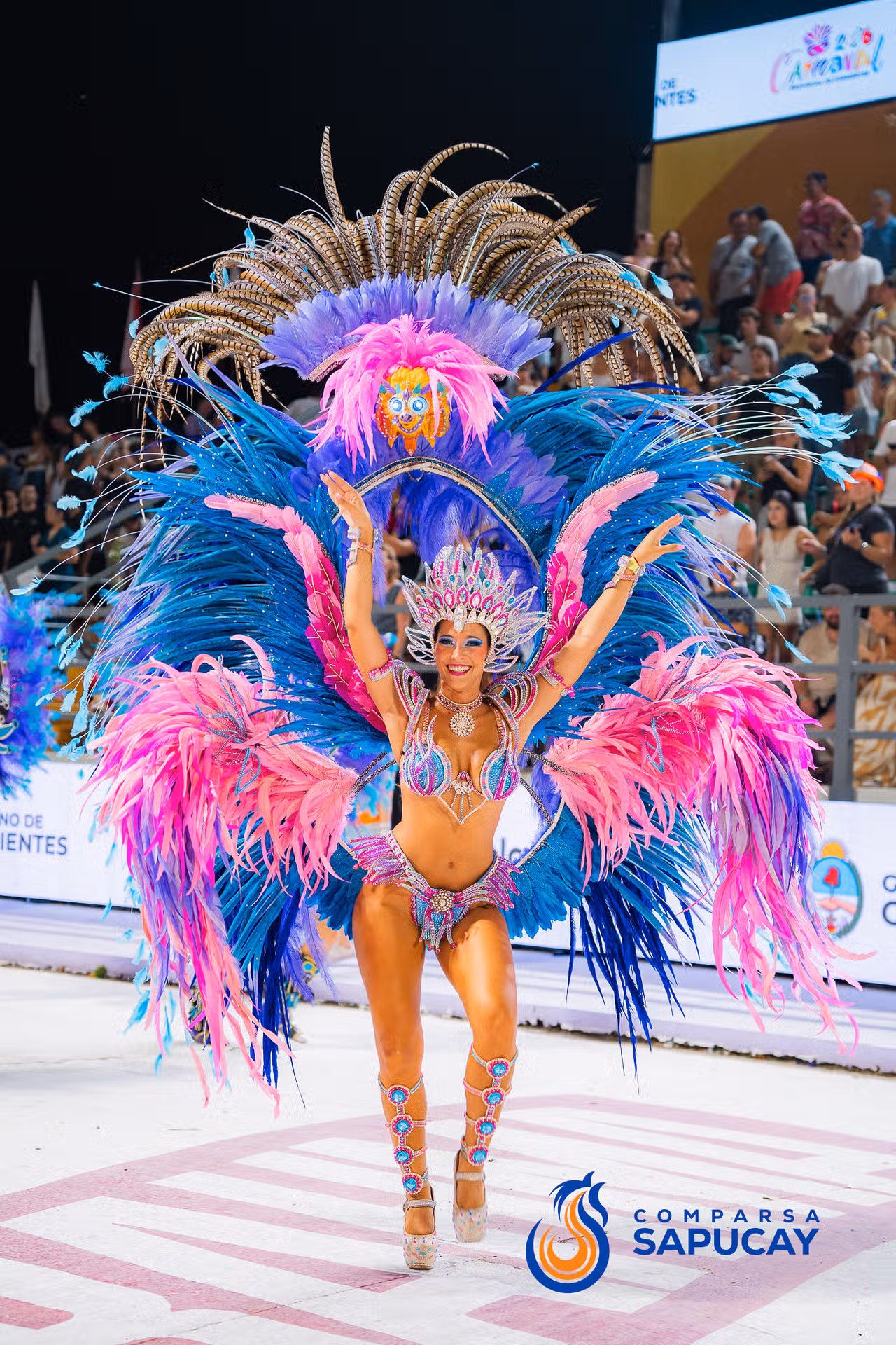 Galeria de fotos de la Quinta Noche de Corso 15-02-26