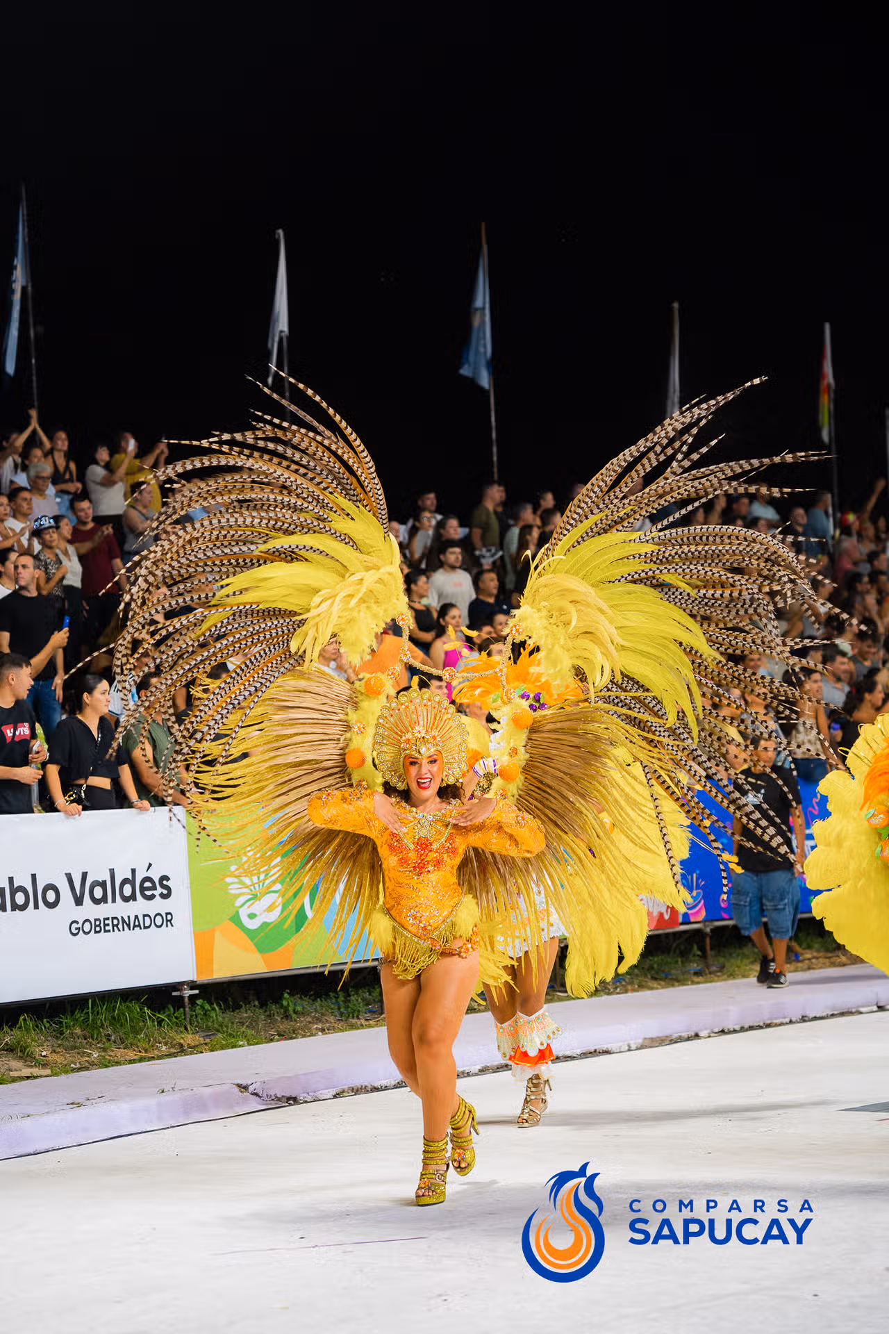 Galeria de fotos de la Quinta Noche de Corso 15-02-26